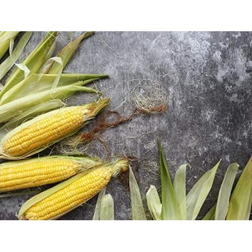 Fondo de Fotografía Doble Cara Selens 56x88 cm 3 Piezas