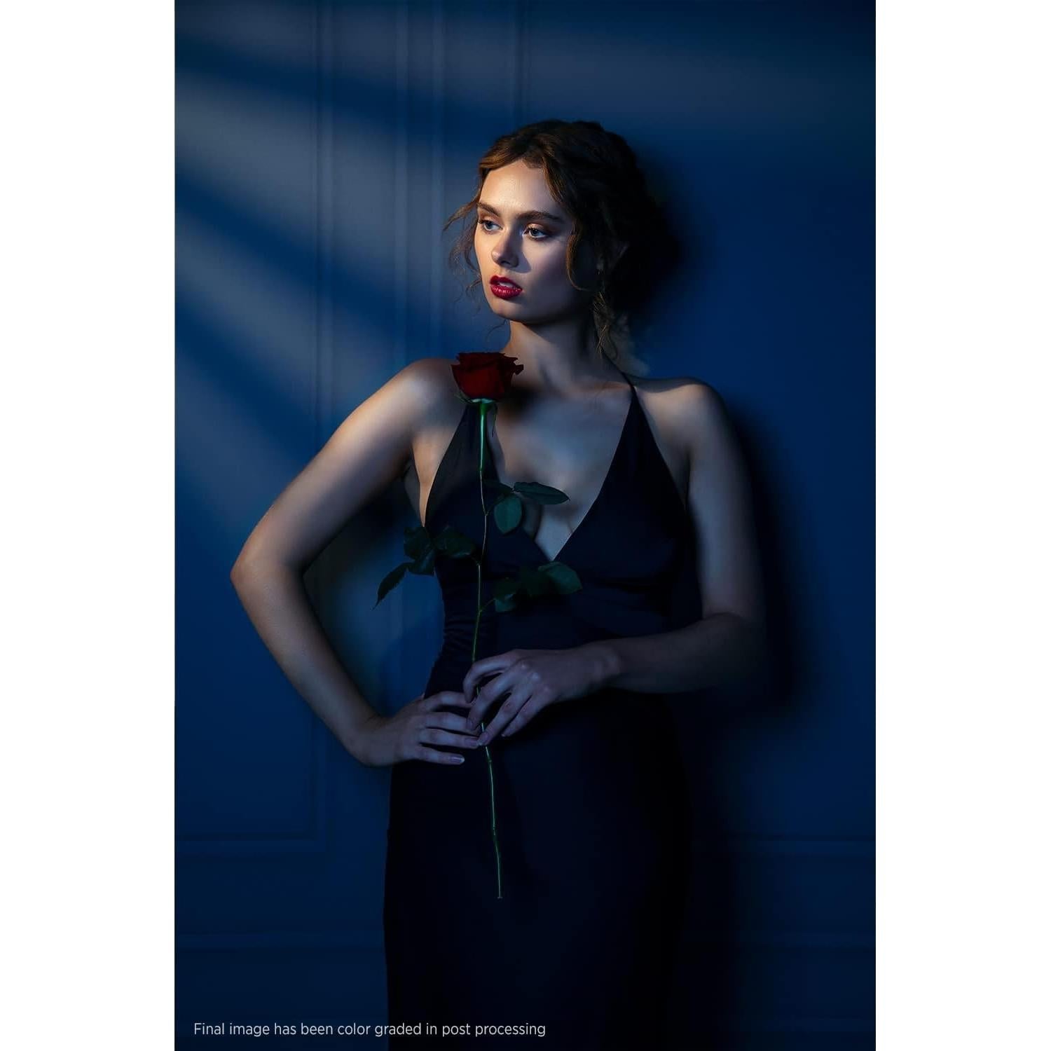 Fondo de Fotografía Lona Ligera Westcott X-Drop 1.52x2.13m