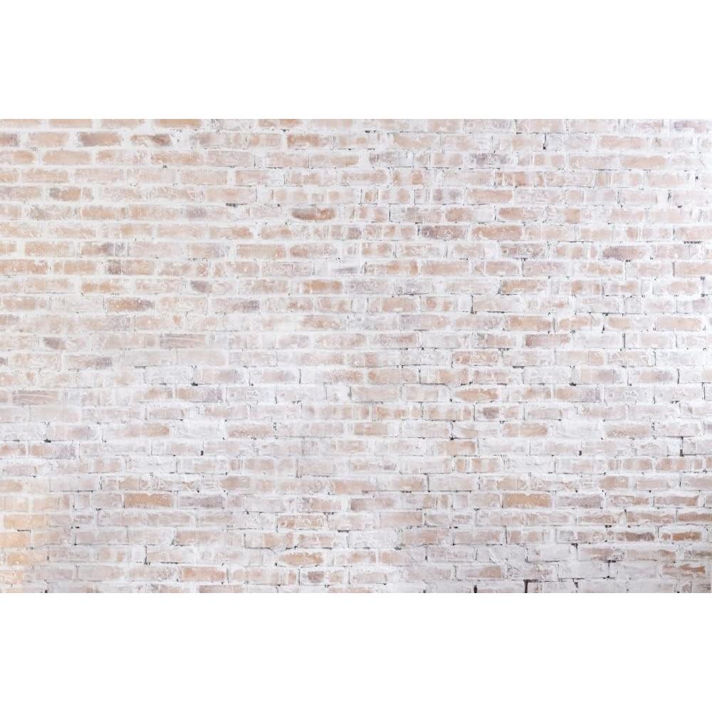 Fondo de Ladrillo Clásico Kate 300x200cm para Fotografía