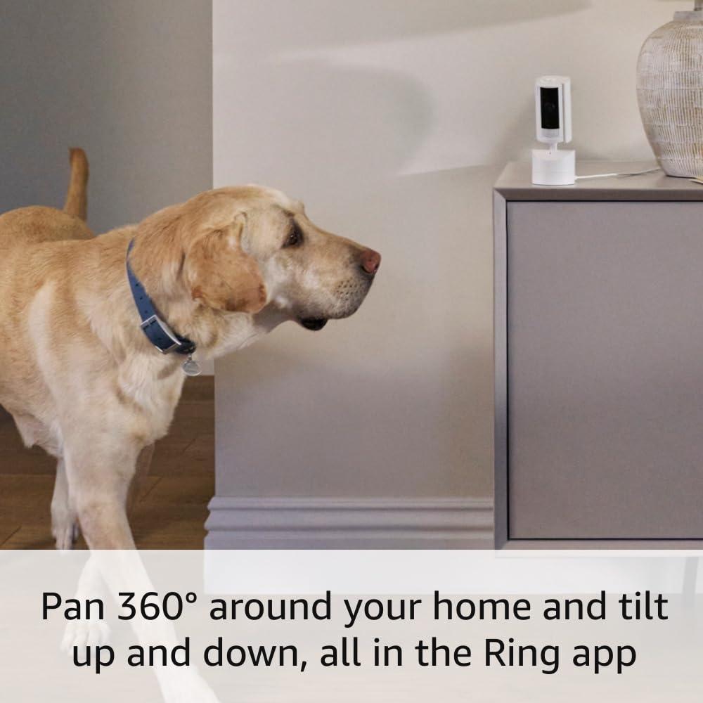 Ring Pan-Tilt Indoor Cam | See all around with 360° pan coverage, HD video, plus Two-Way Talk (2024 release) | Black