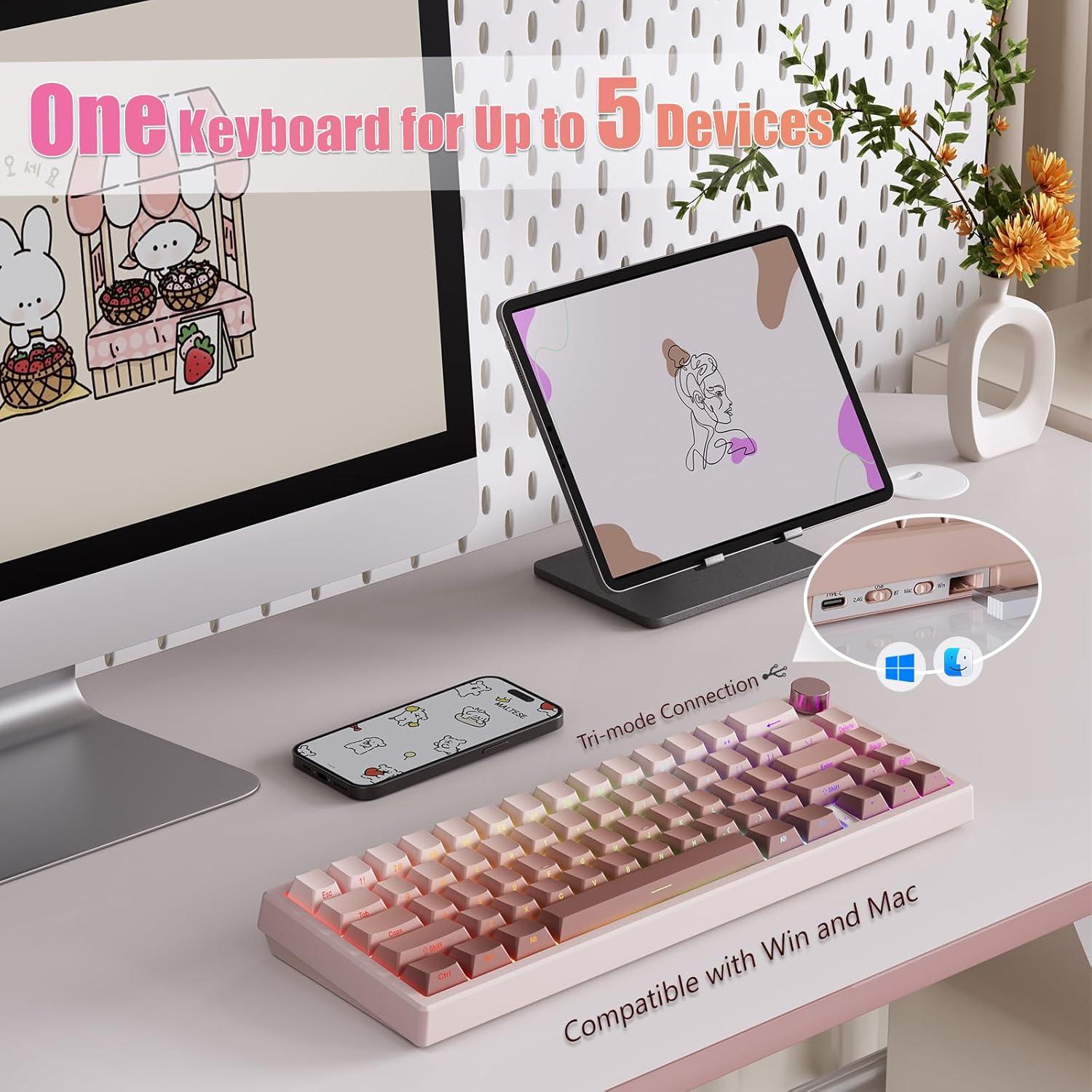 Teclado Mecánico Inalámbrico RisoPhy 60% con Retroiluminación