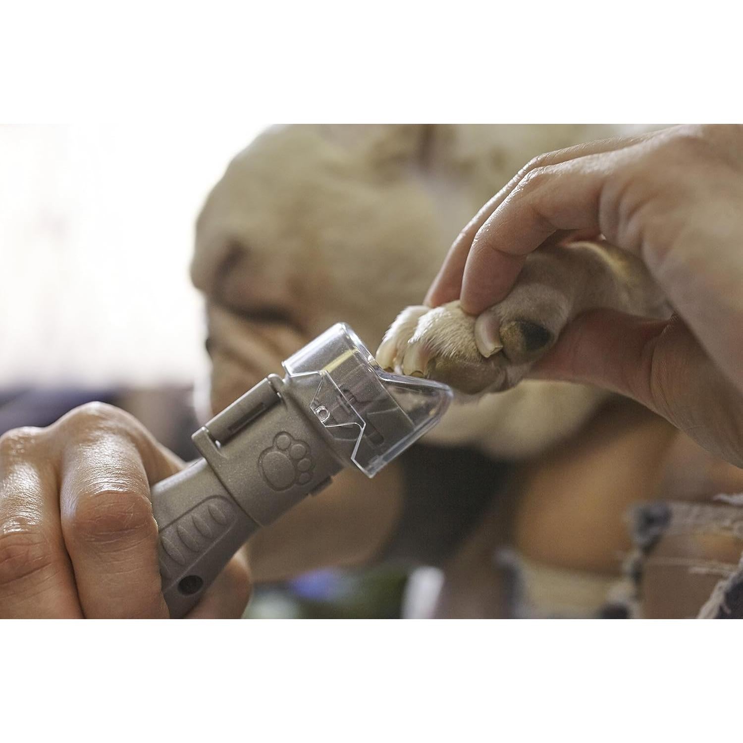 Dremel AT01-PGK Accesorio Protección Uñas Mascotas con Discos Lijado