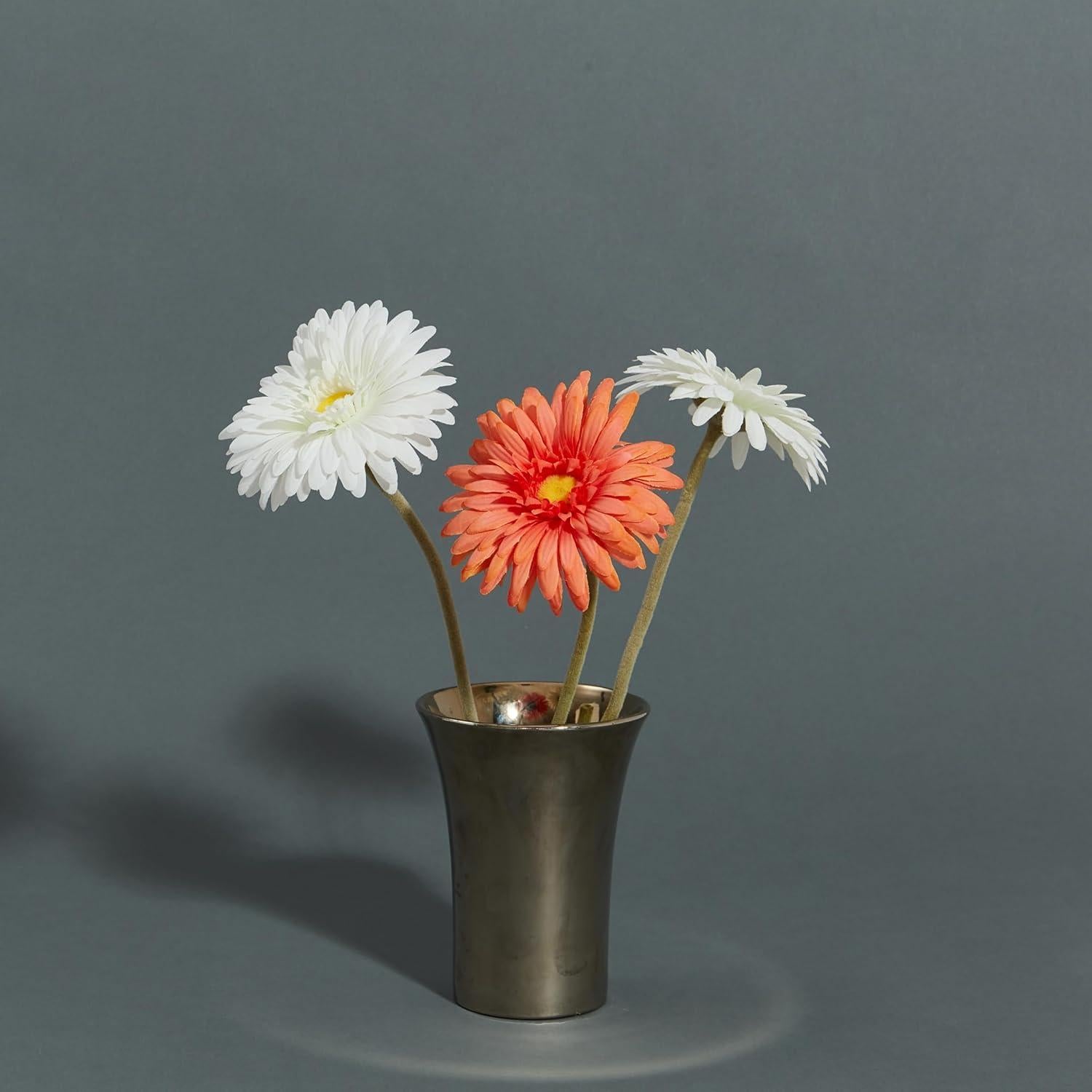 Rollo de Papel Fotográfico Sin Costuras Gris Trueno 134.62 cm x 4.88 m