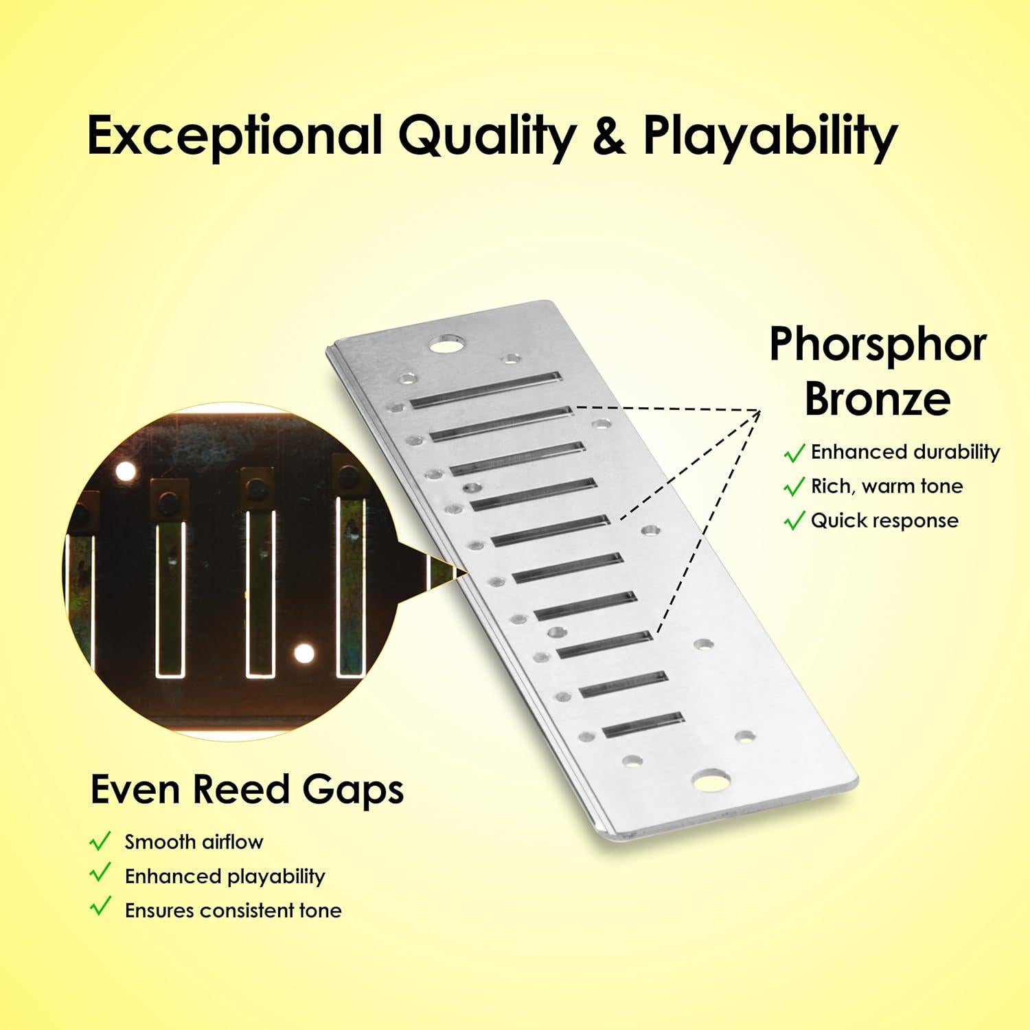 Harmónica Diatónica G 10 Agujeros Bronce Fosforado Compacta