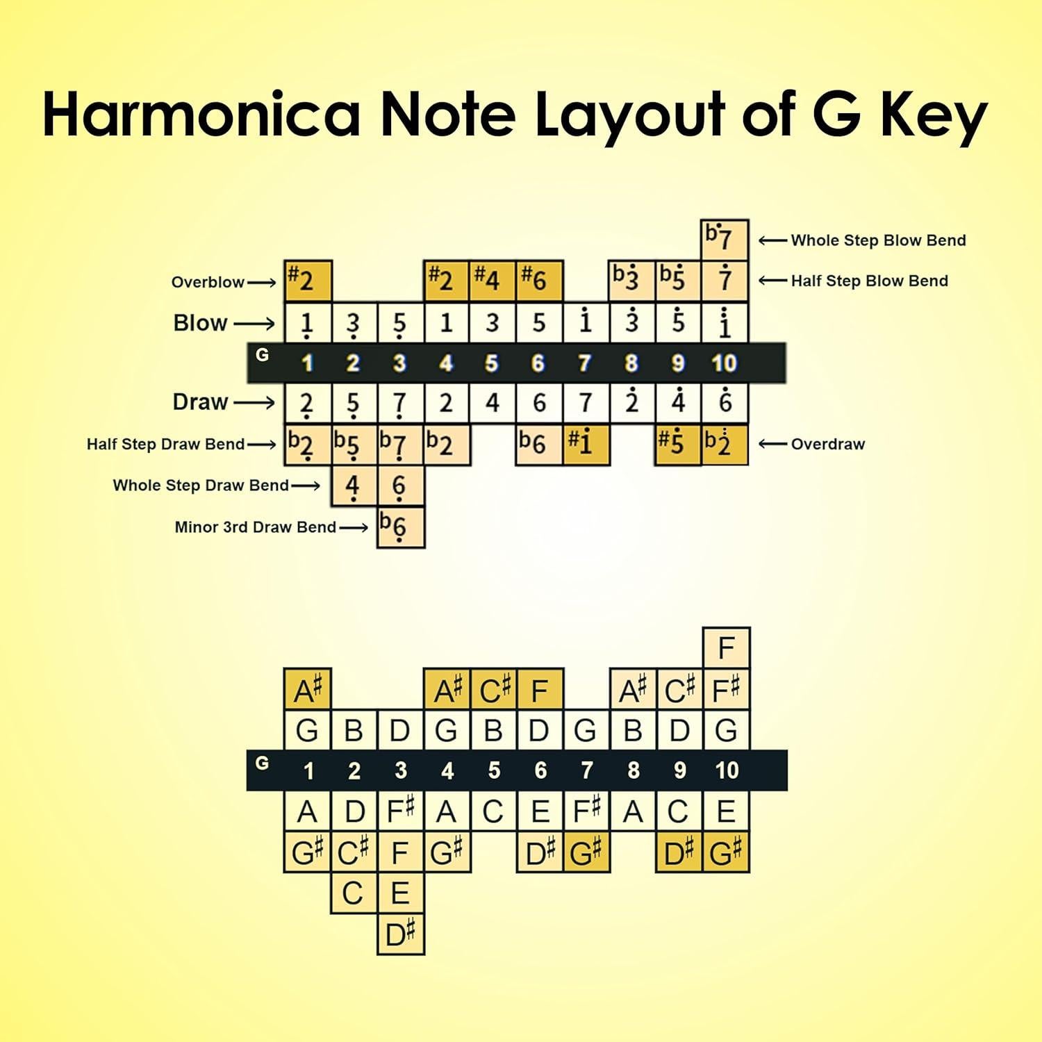 Harmónica Diatónica G 10 Agujeros Bronce Fosforado Compacta
