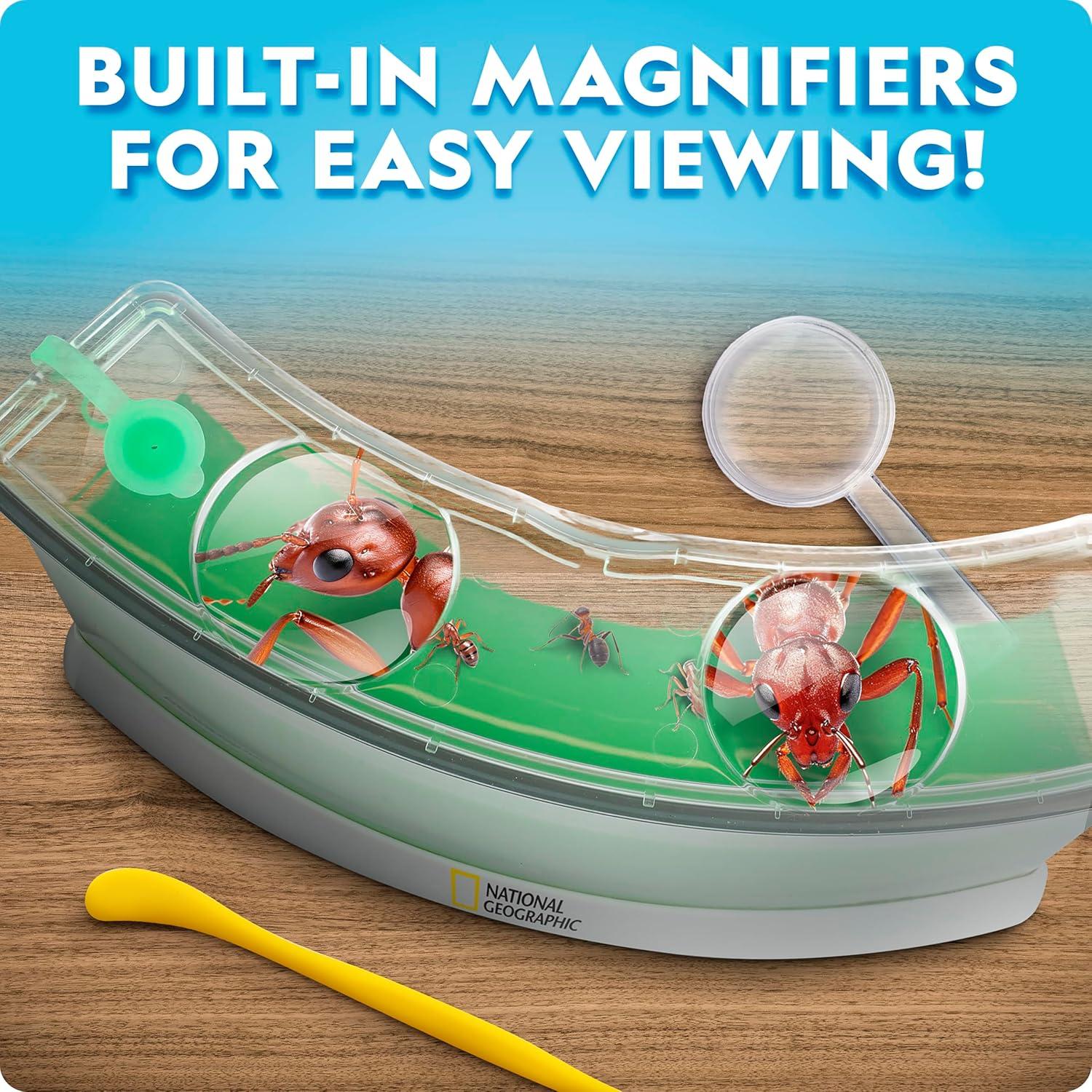 Terrario de Hormigas National Geographic - Iluminado y con Lentes