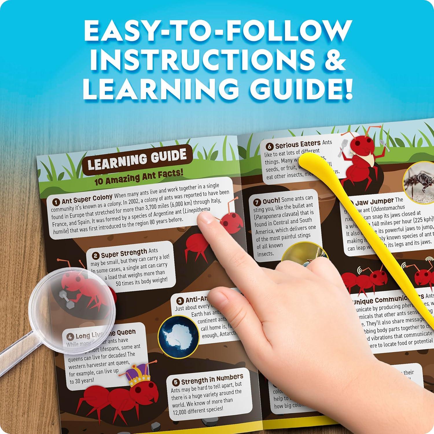 Terrario de Hormigas National Geographic - Iluminado y con Lentes