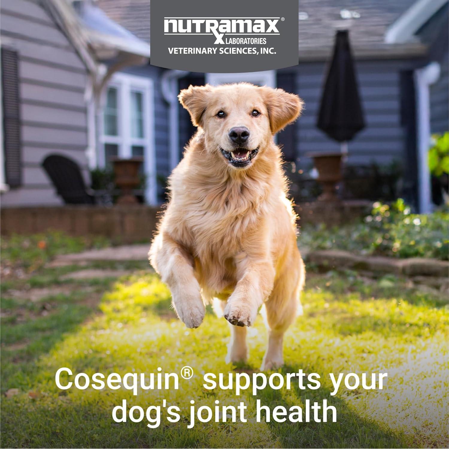 Suplemento Articular Nutramax Cosequin DS Plus MSM 60 masticables