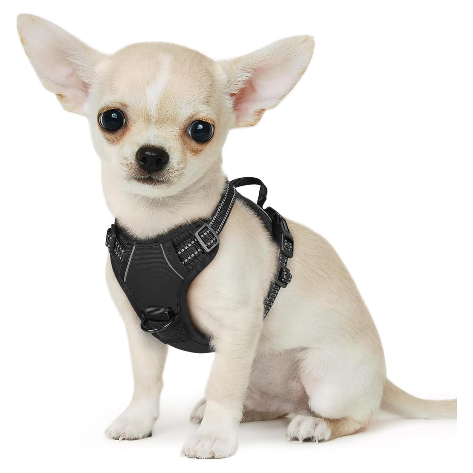 Arnés para Perros Pequeños Eagloo Ajustable Negro XS