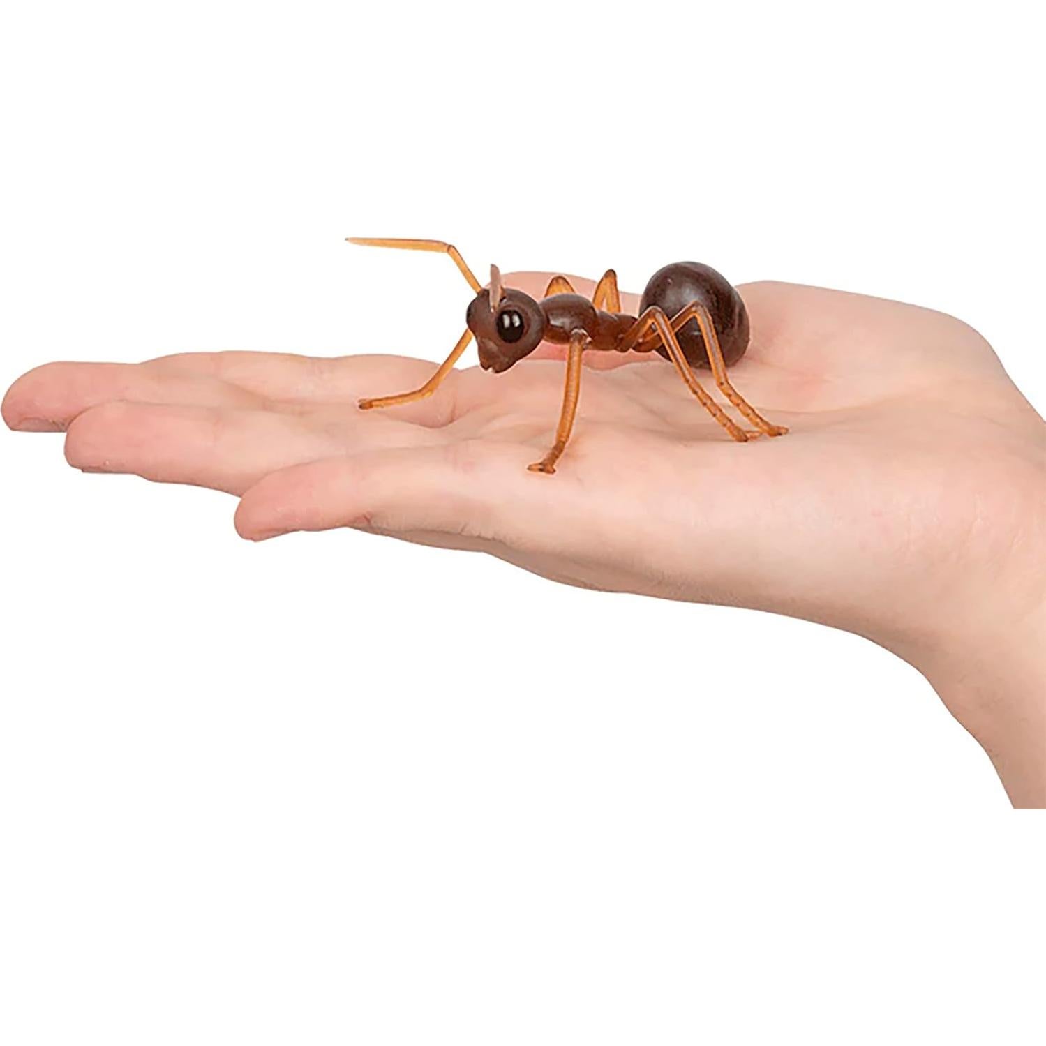 Hormigas Gigantes Mcphee Set de 6 para Regalo Divertido