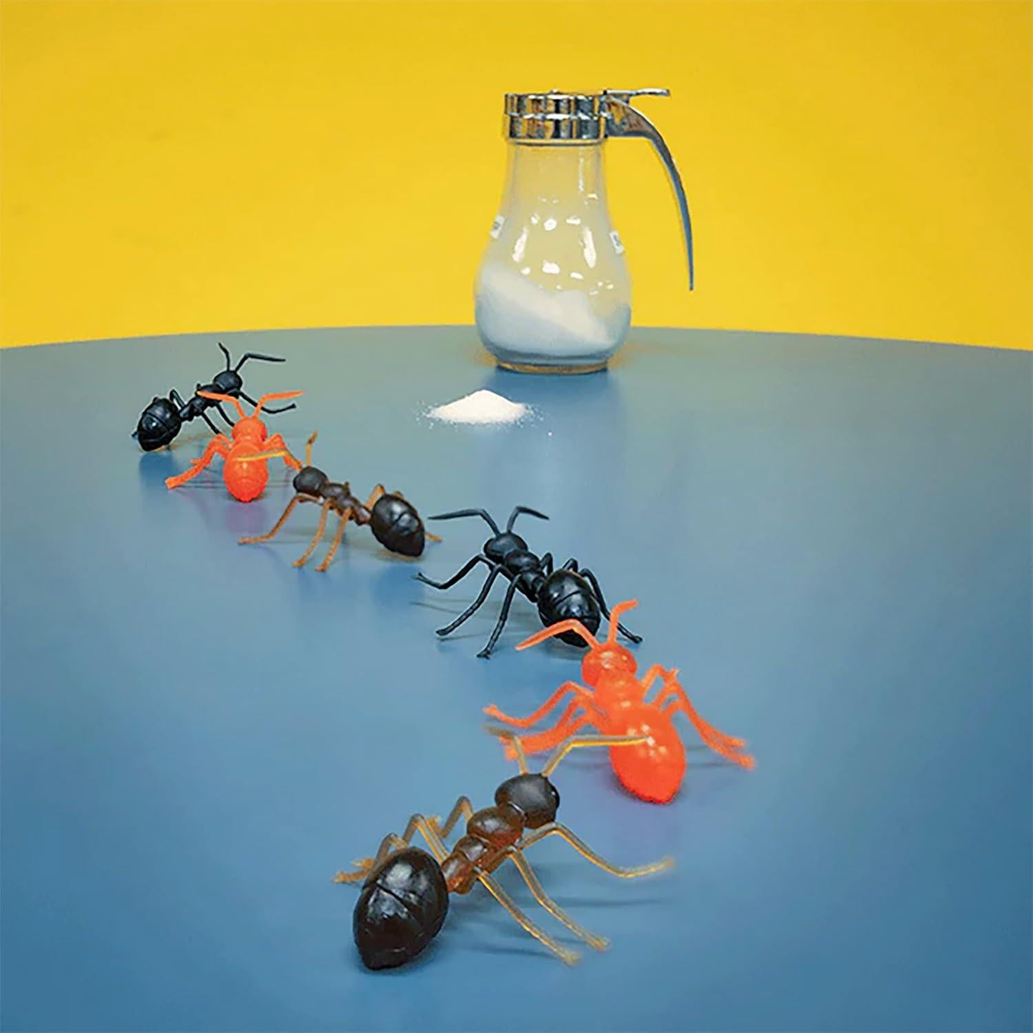 Hormigas Gigantes Mcphee Set de 6 para Regalo Divertido