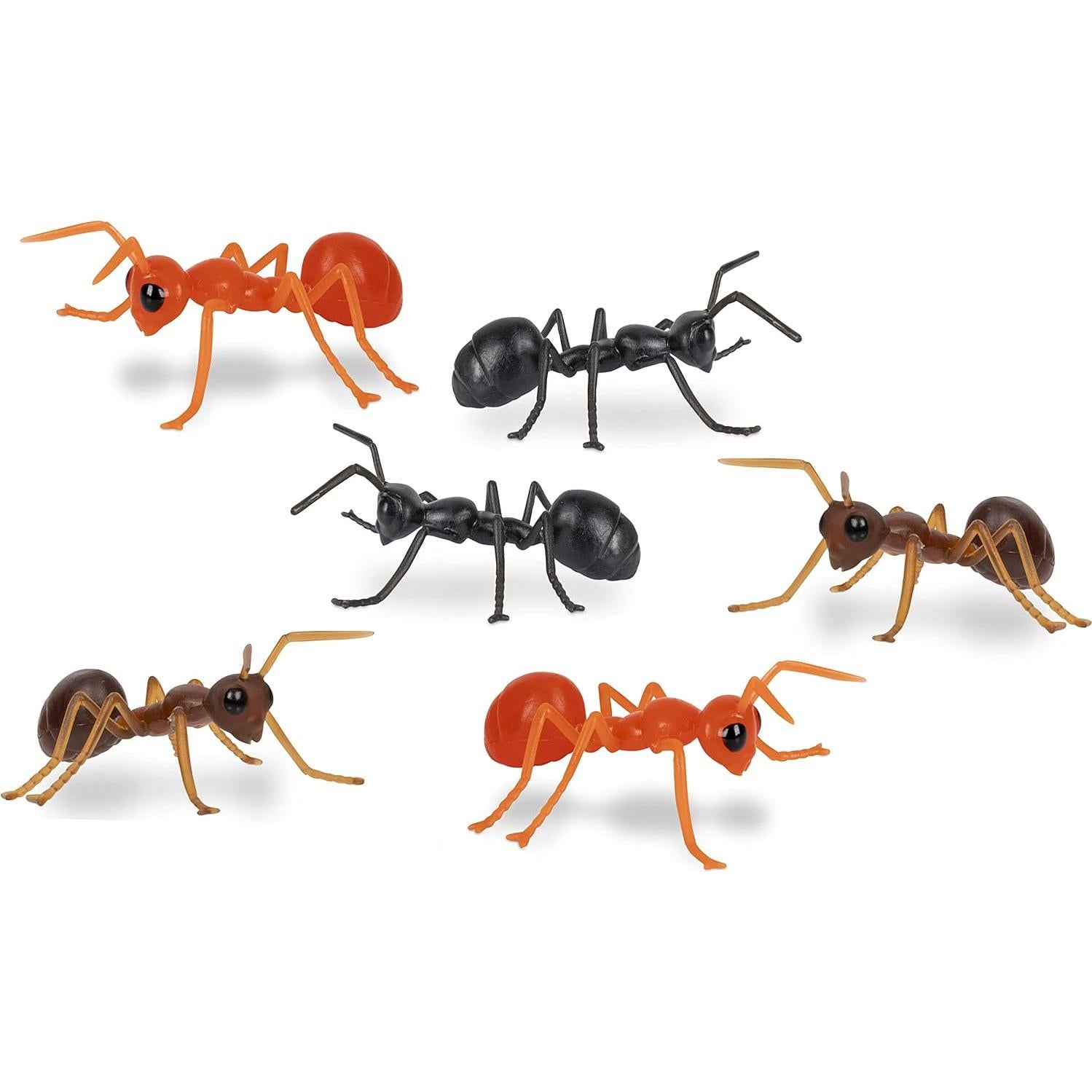 Hormigas Gigantes Mcphee Set de 6 para Regalo Divertido