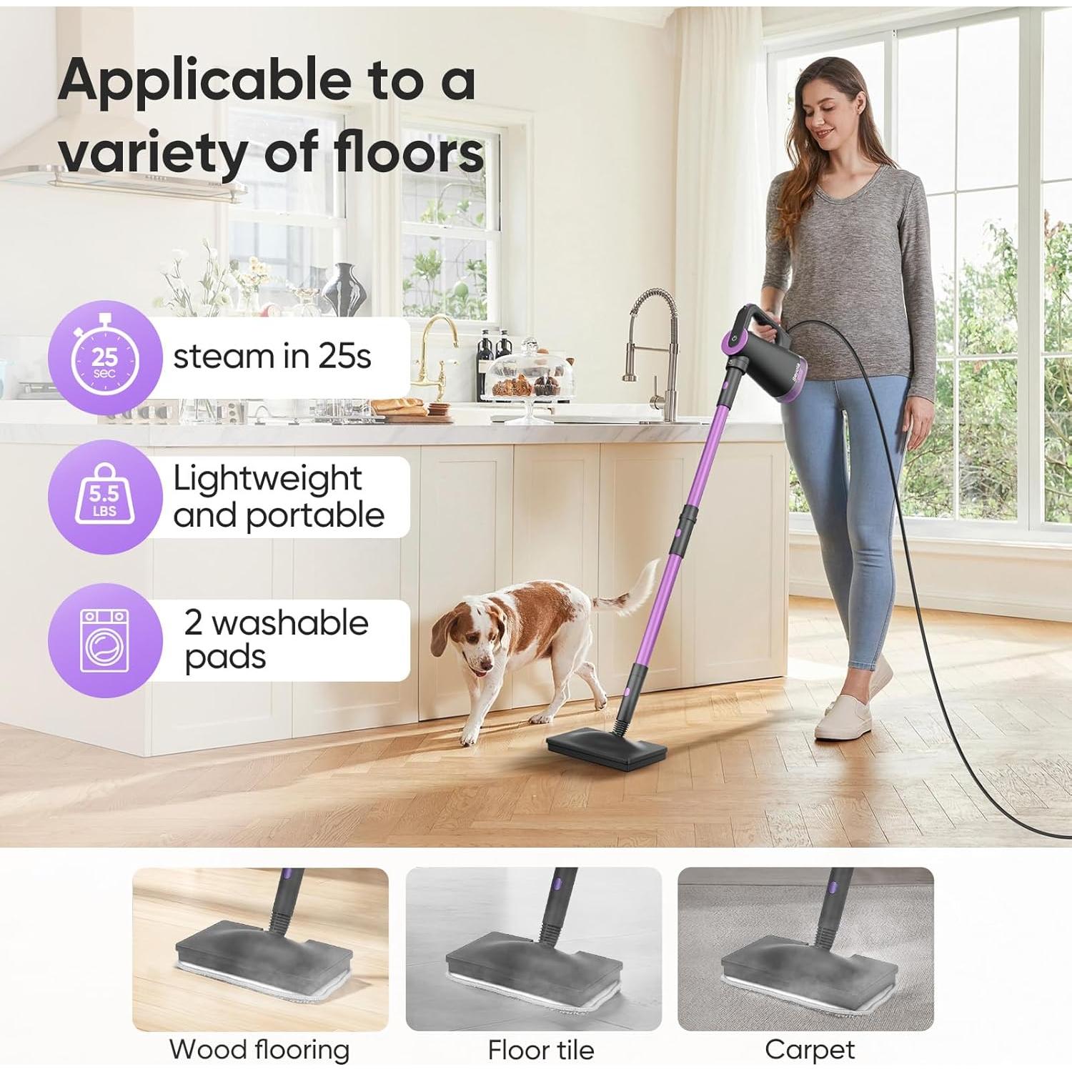 Limpiador de Vapor de Mano Seyola 9 en 1 1300W 370ml Púrpura-Gris