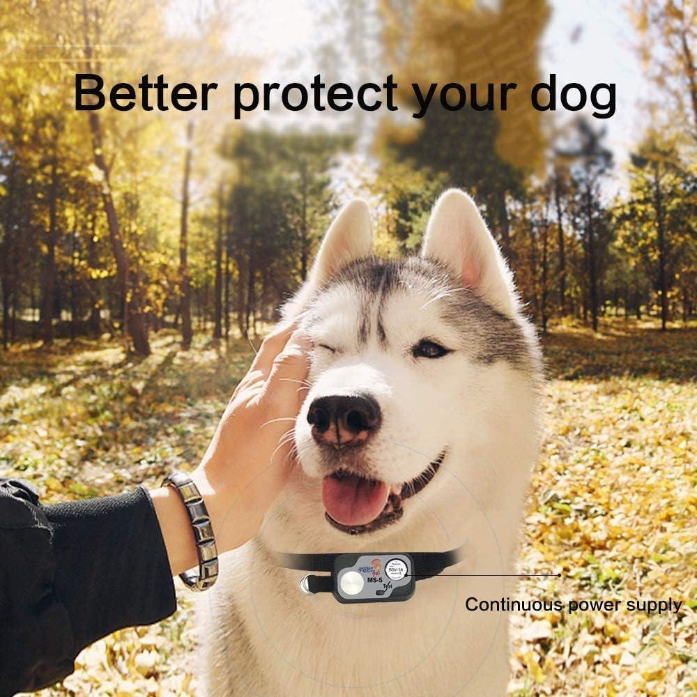 Baterías Litio Abeden B3V 1A para Collares MS-4 y MS-5