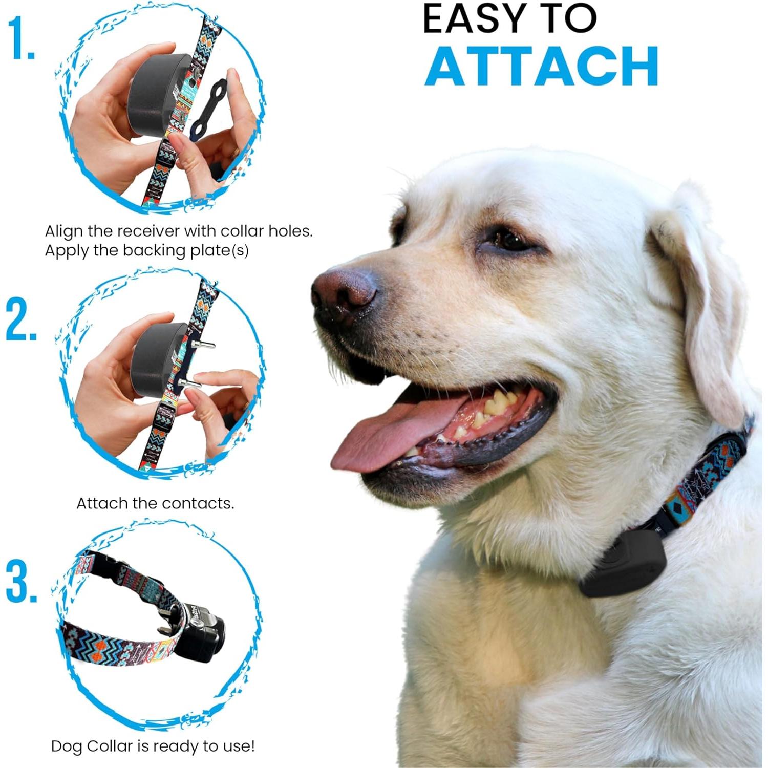 Correa de Nylon Pequeña Gracie To The Rescue 25.4-30.5 cm Flor Negra