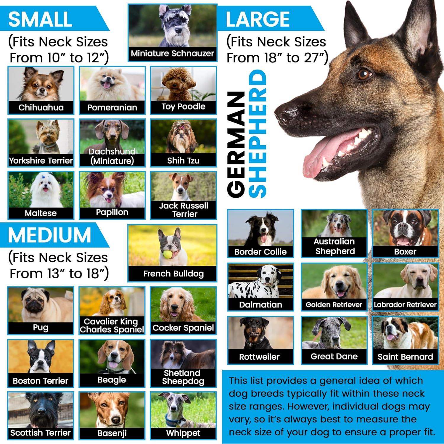 Correa de Nylon Pequeña Gracie To The Rescue 25.4-30.5 cm Flor Negra