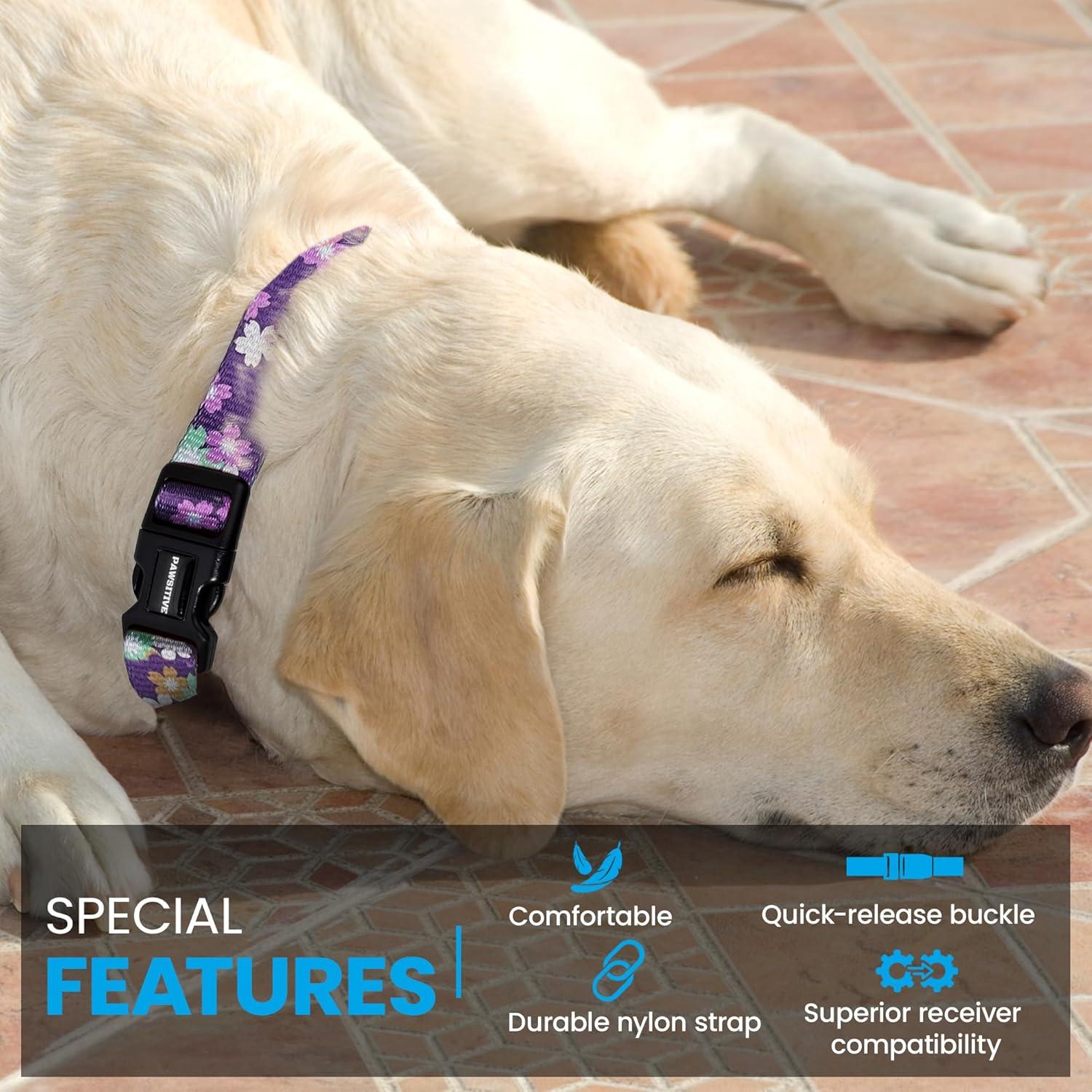 Correa de Nylon Pequeña Gracie To The Rescue 25.4-30.5 cm Flor Negra