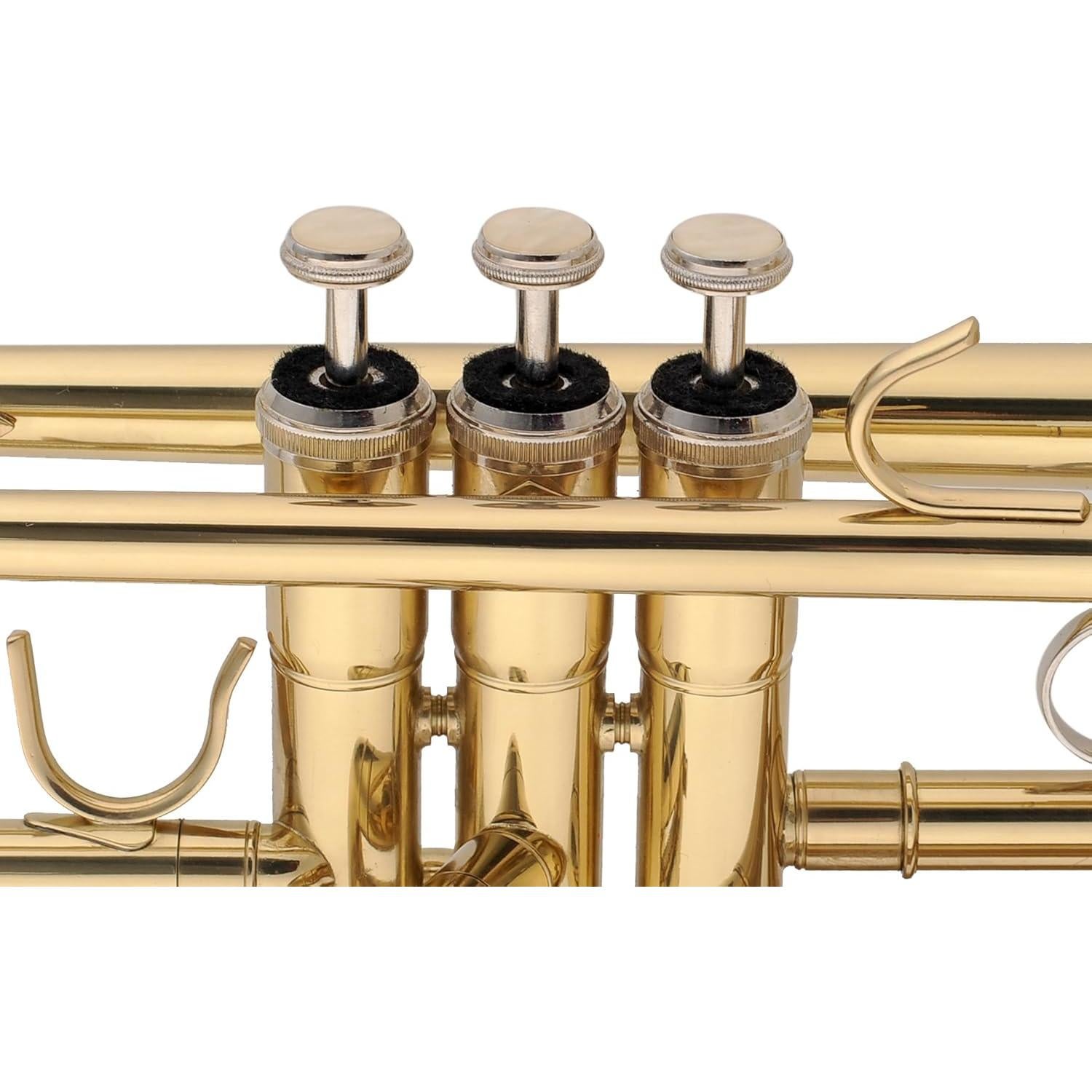 Trompeta Aileen Lexington TP8001G Estudiante Bb Oro con Estuche