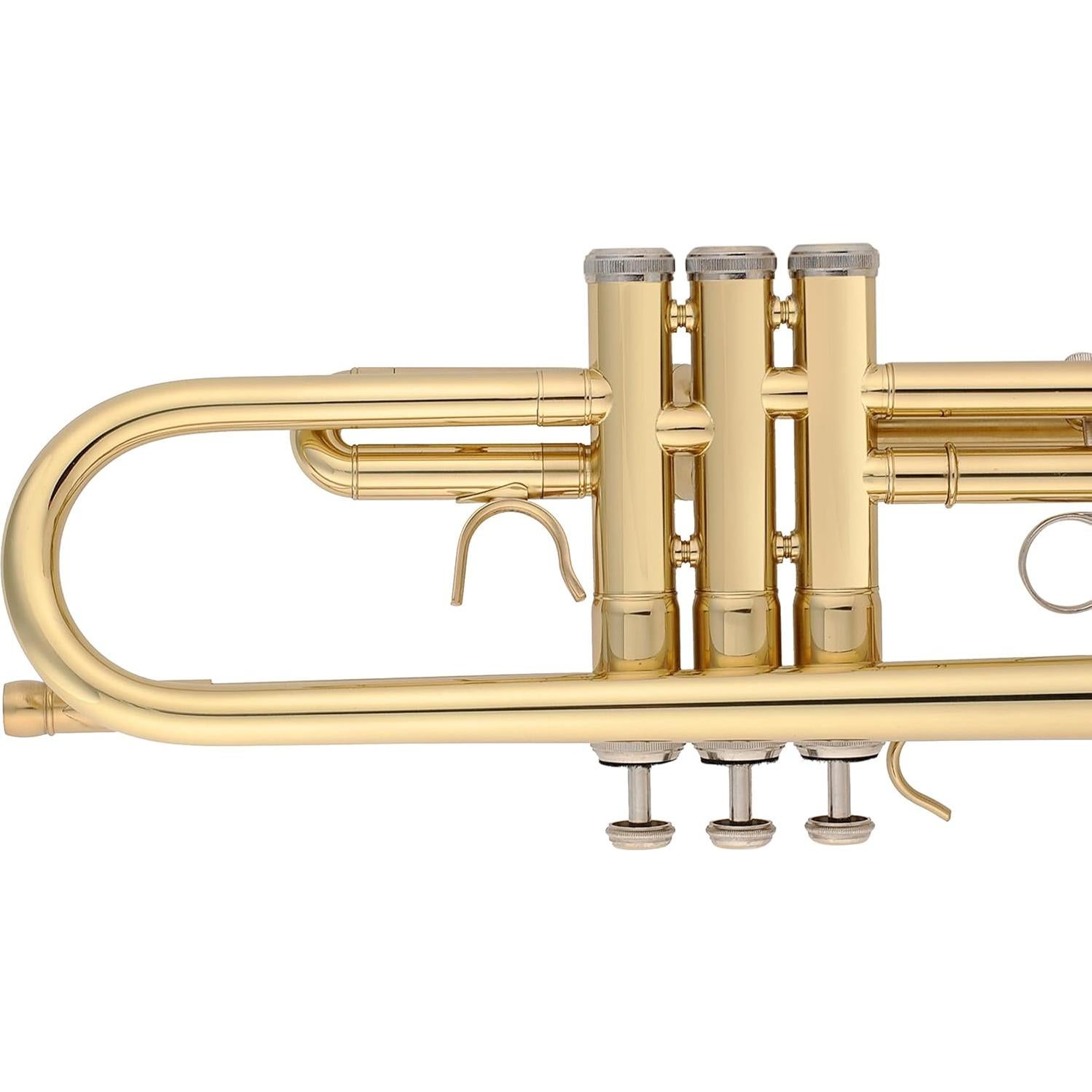 Trompeta Aileen Lexington TP8001G Estudiante Bb Oro con Estuche