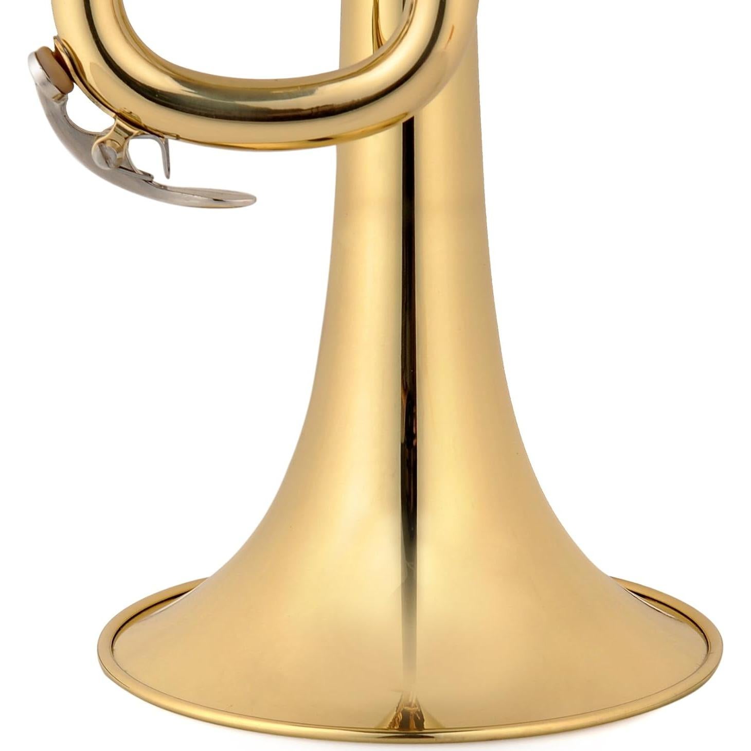 Trompeta Aileen Lexington TP8001G Estudiante Bb Oro con Estuche