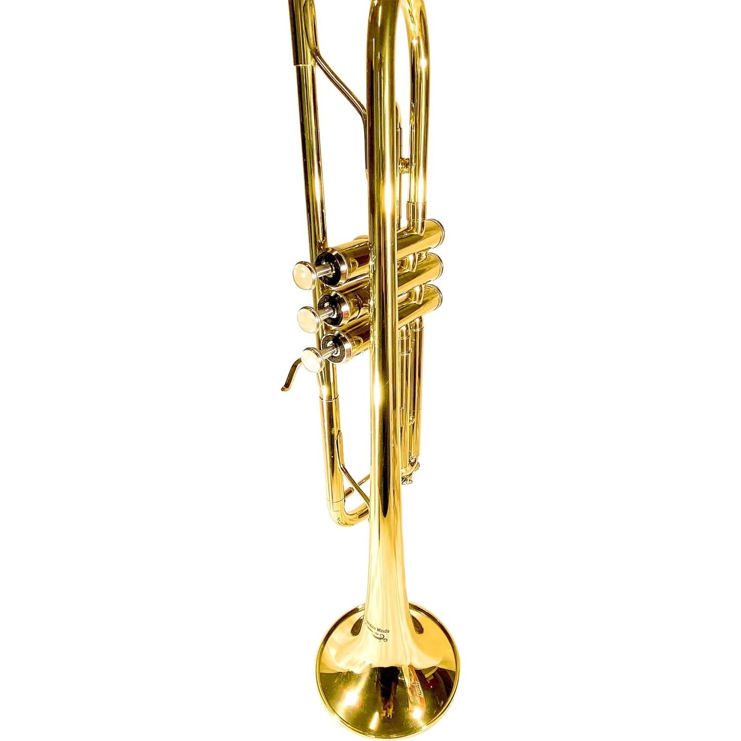 Trompeta Bb Carolina Winds CW201TPT para estudiantes