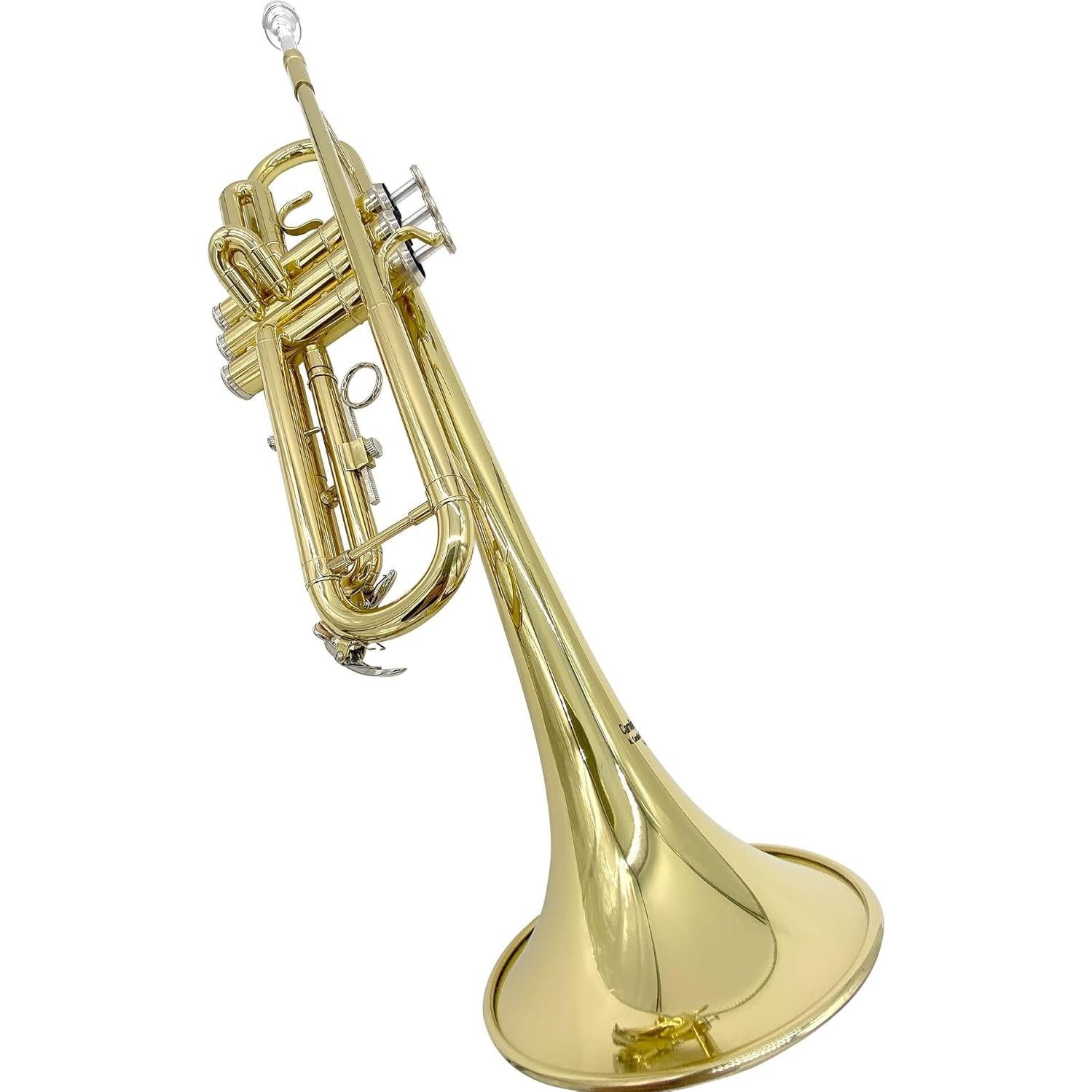 Trompeta Bb Carolina Winds CW201TPT para estudiantes