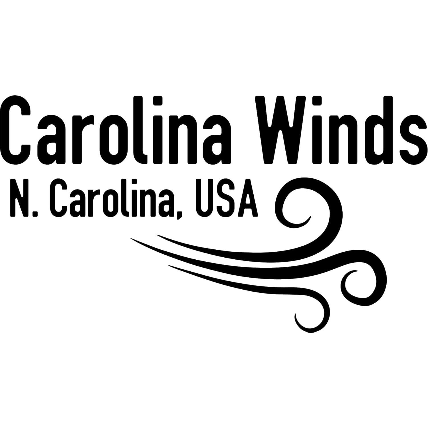 Trompeta Bb Carolina Winds CW201TPT para estudiantes