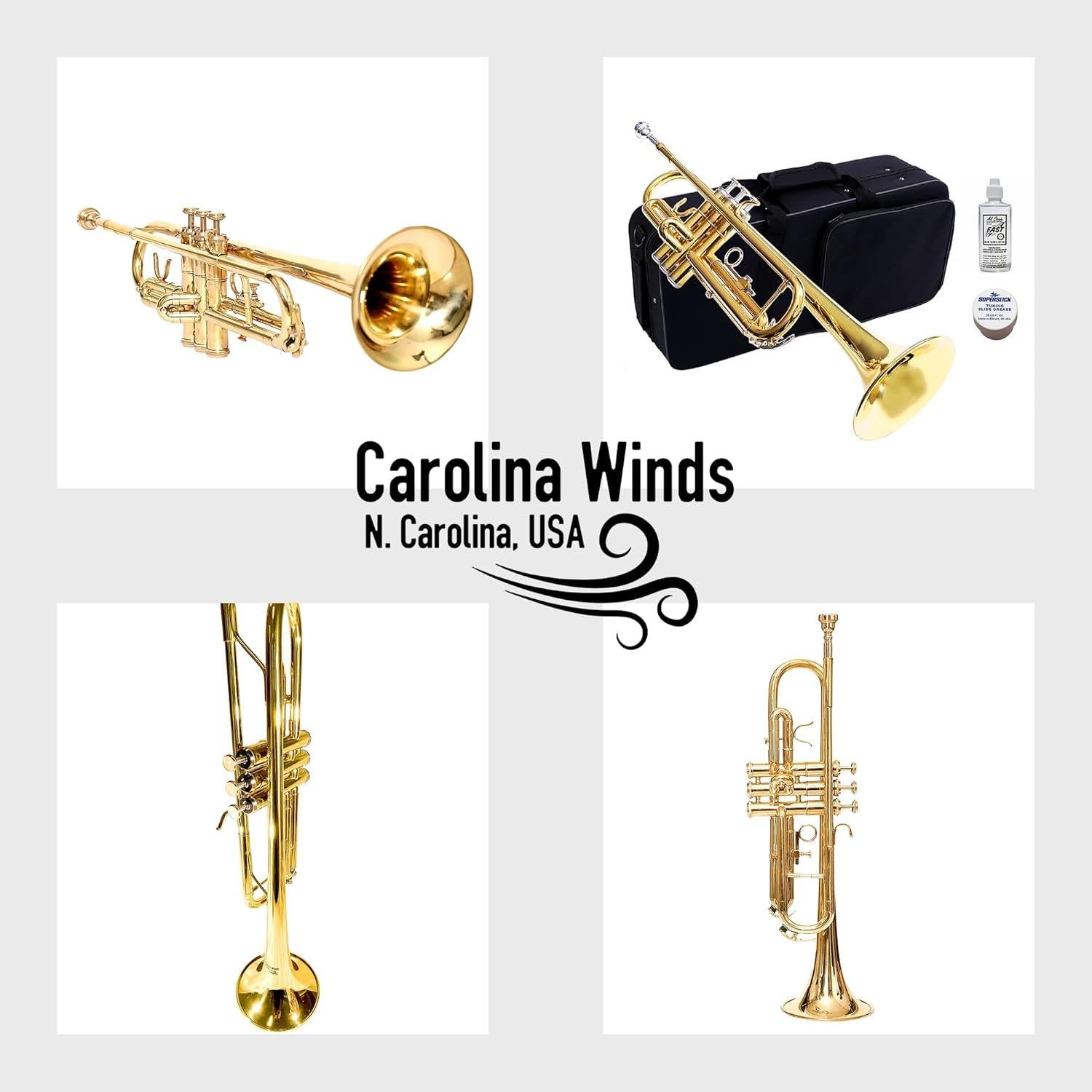 Trompeta Bb Carolina Winds CW201TPT para estudiantes