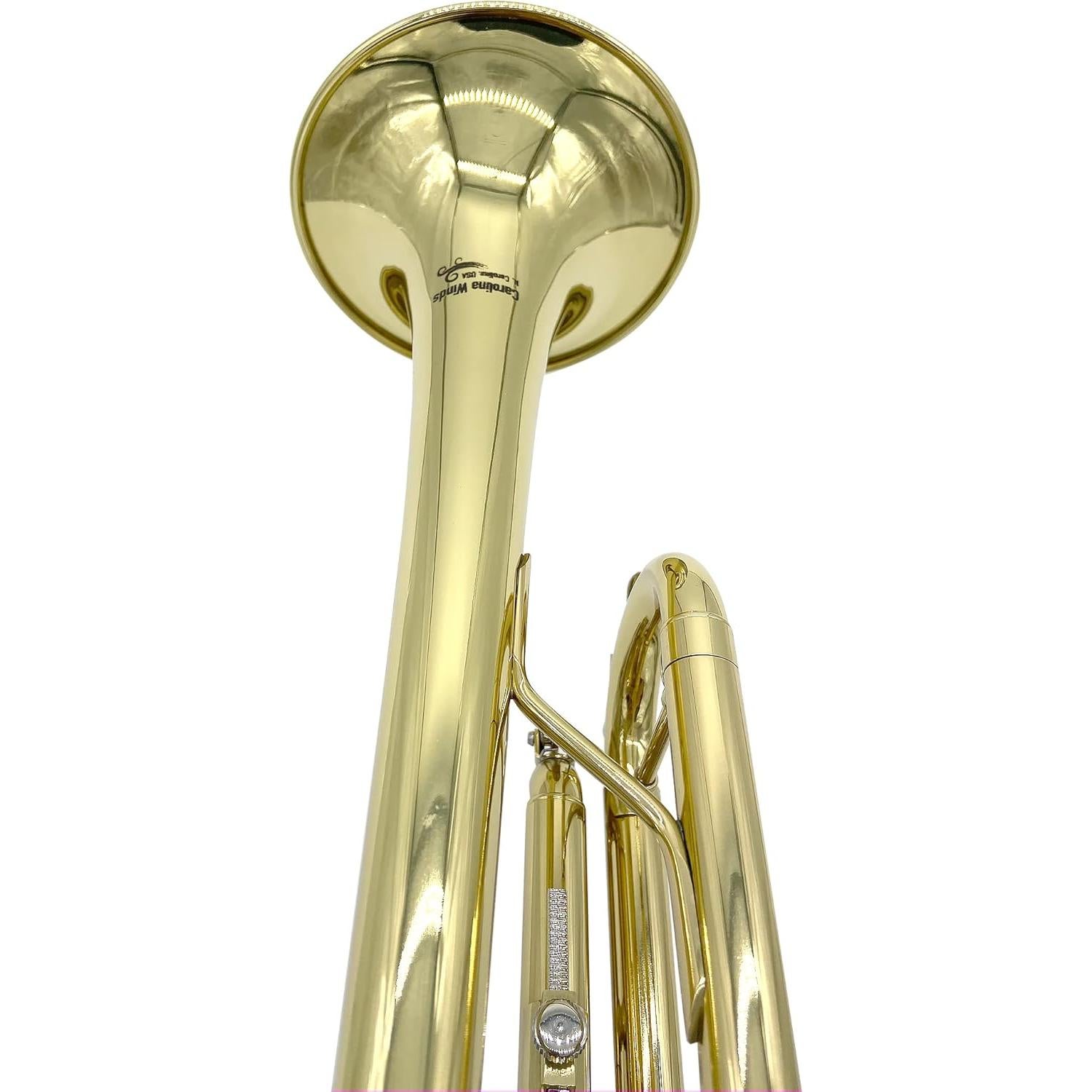 Trompeta Bb Carolina Winds CW201TPT para estudiantes