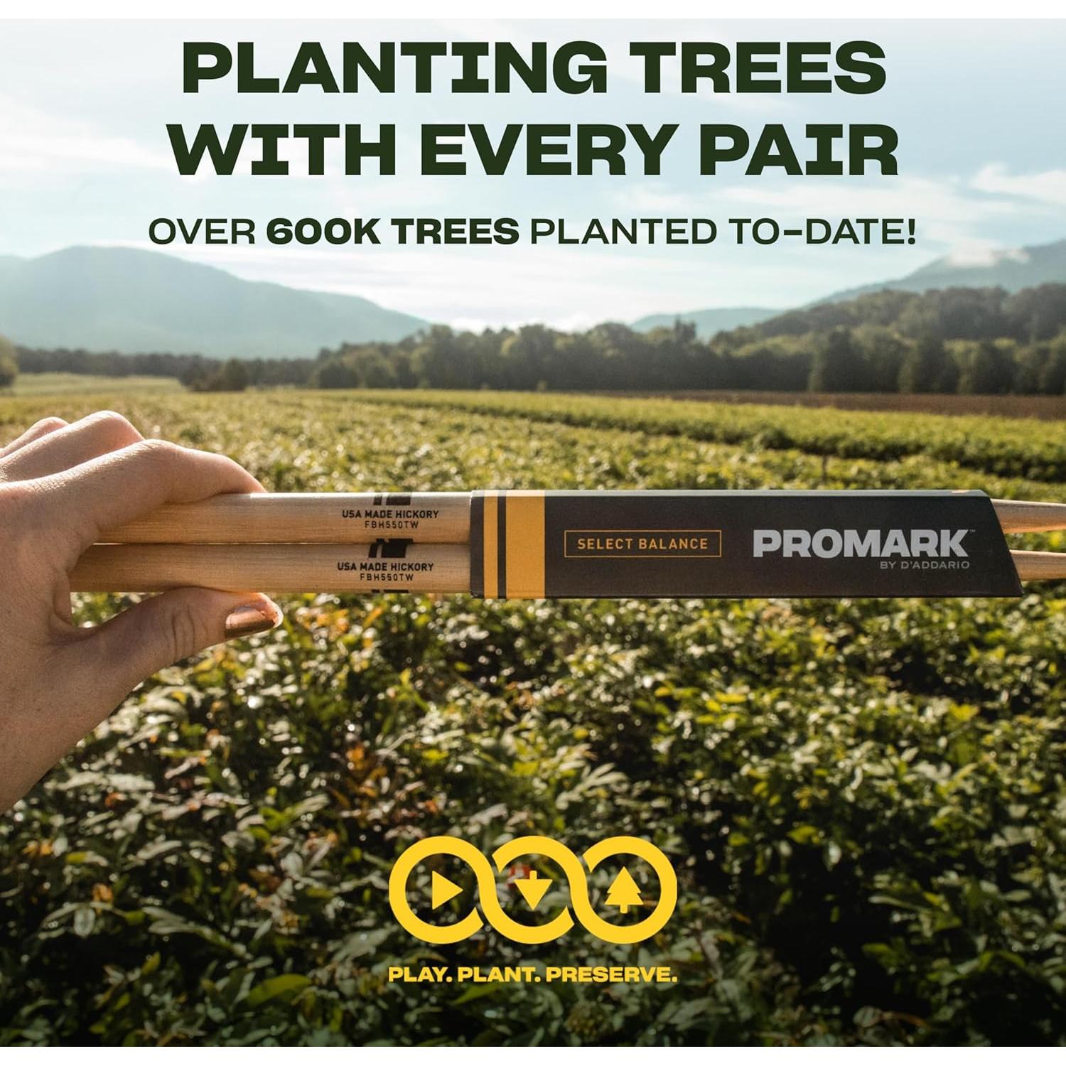 Palos de Batería D'Addario Will Kennedy Hickory 41.91 cm