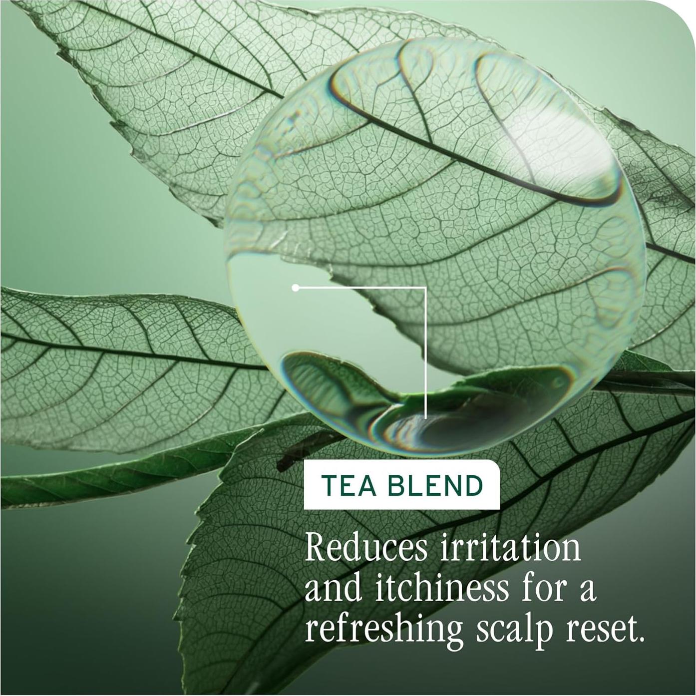 Champú Anticaspa Biolage Scalp Sync 50 ml - Vegano y Eficaz