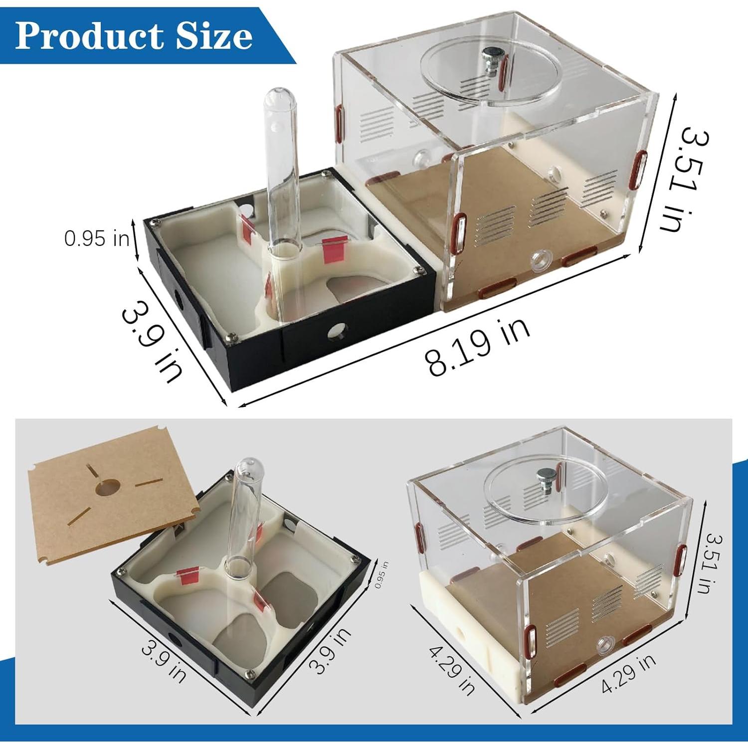 Kit Terrario Hormigas Ants Footsteps 9.91x20.81 cm