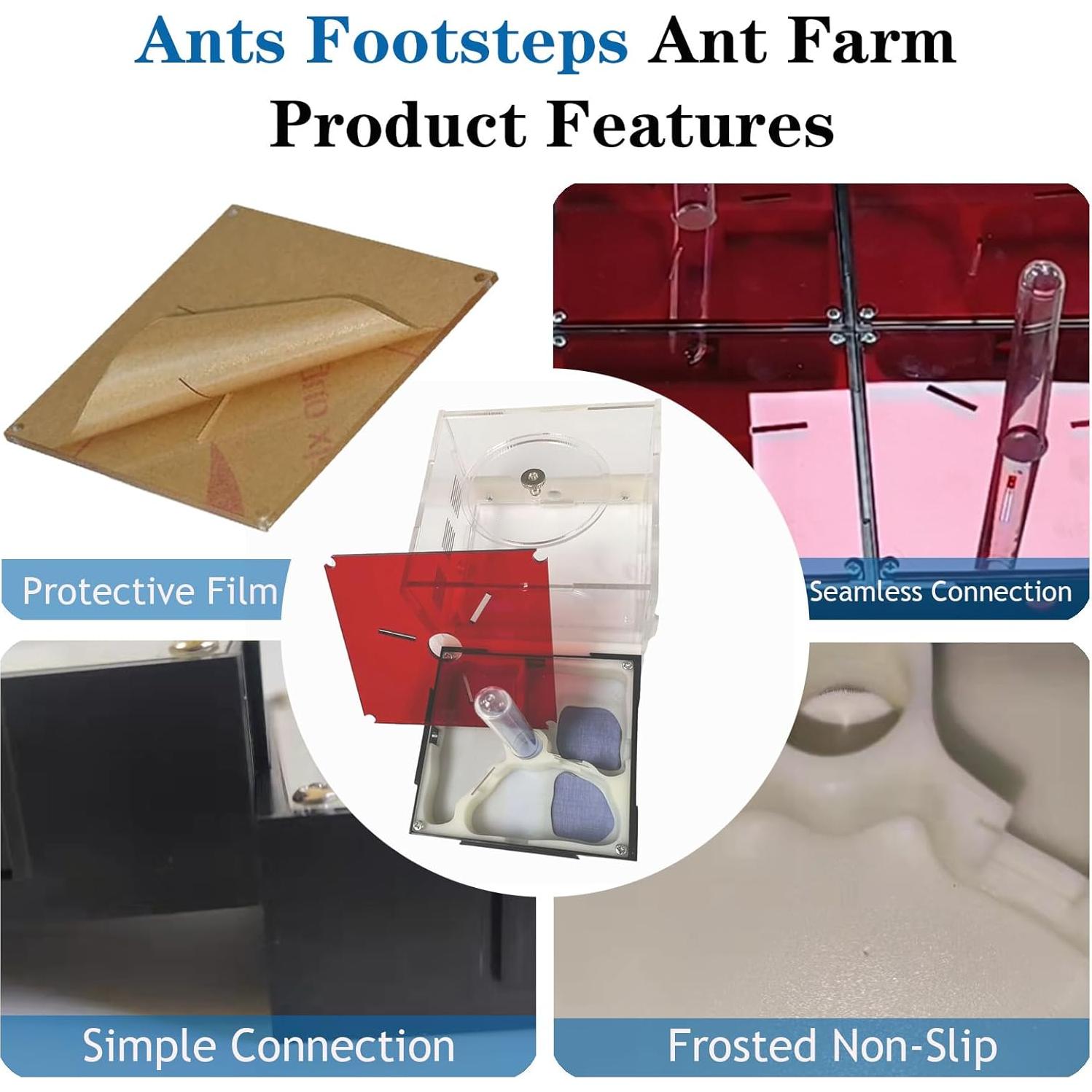 Kit Terrario Hormigas Ants Footsteps 9.91x20.81 cm
