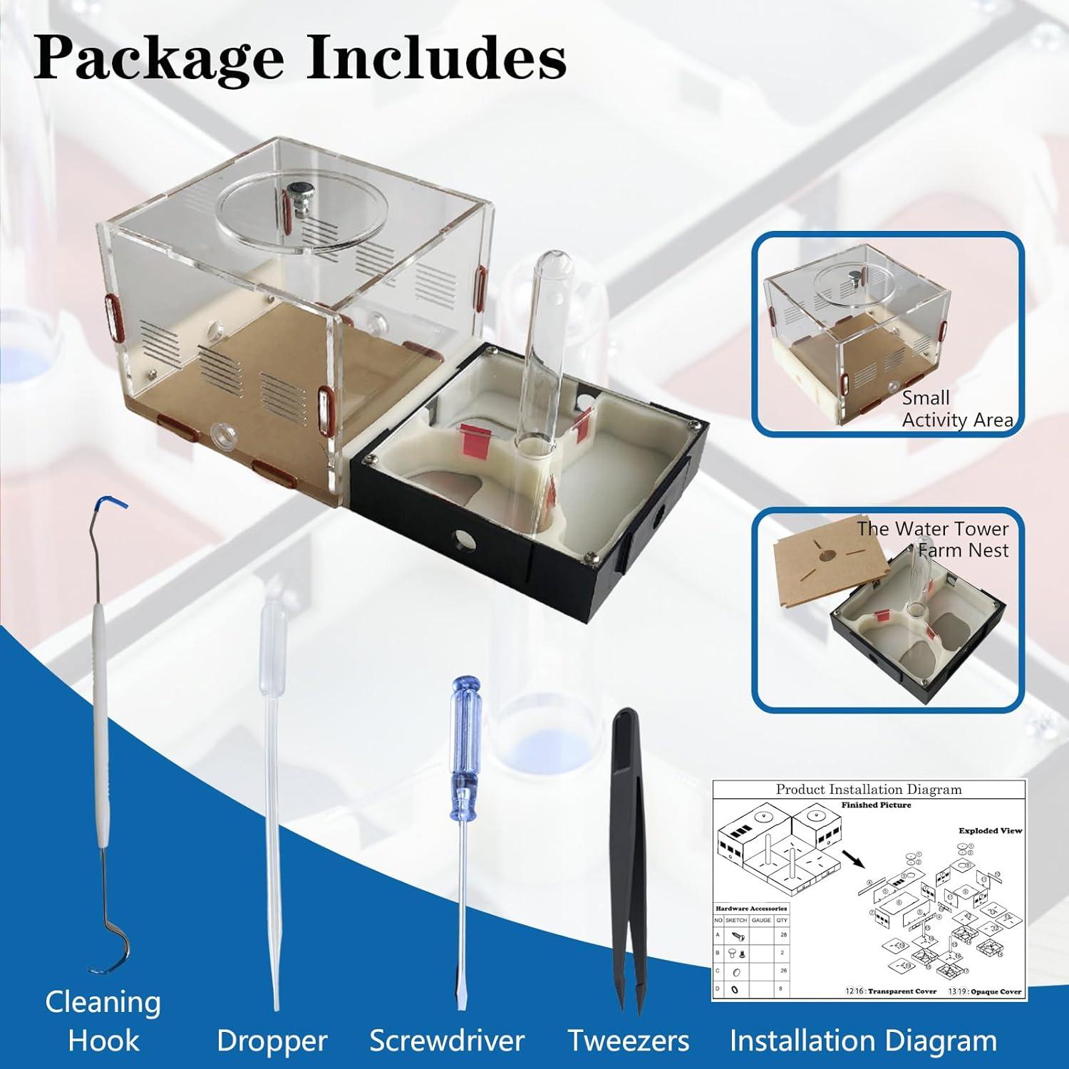 Kit Terrario Hormigas Ants Footsteps 9.91x20.81 cm