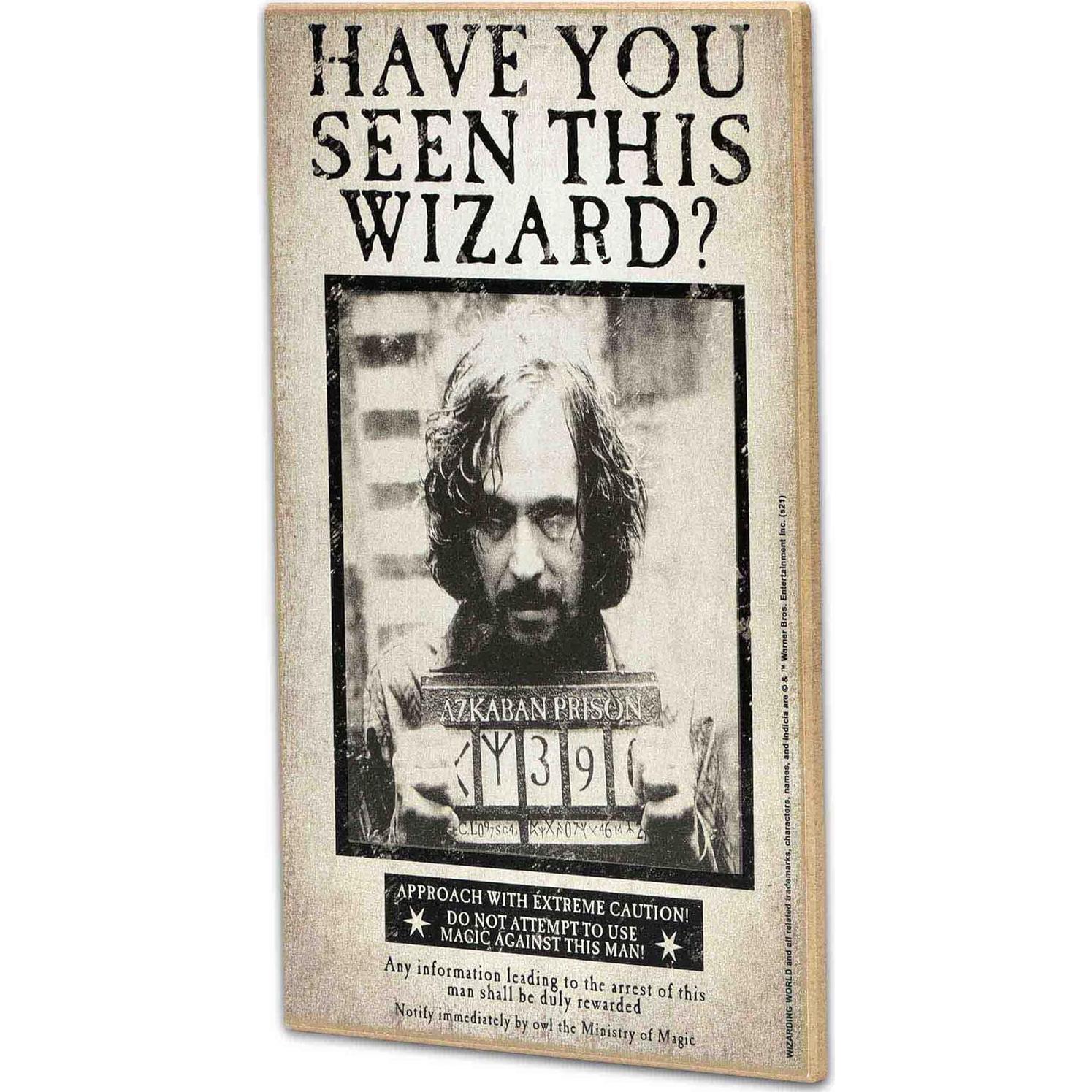 Cartel Vintage Harry Potter Sirius Black 19x29 cm Decoración