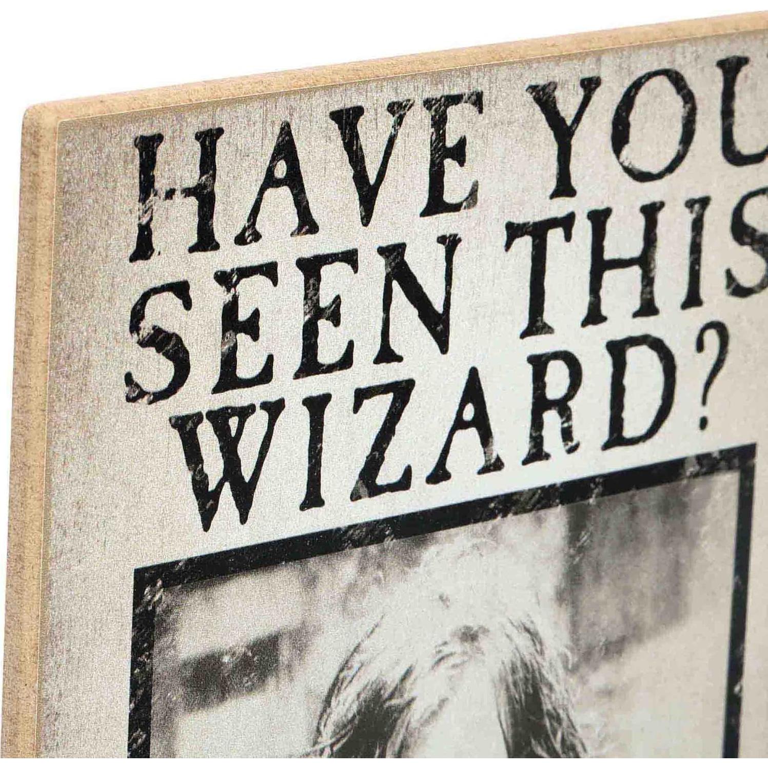 Cartel Vintage Harry Potter Sirius Black 19x29 cm Decoración