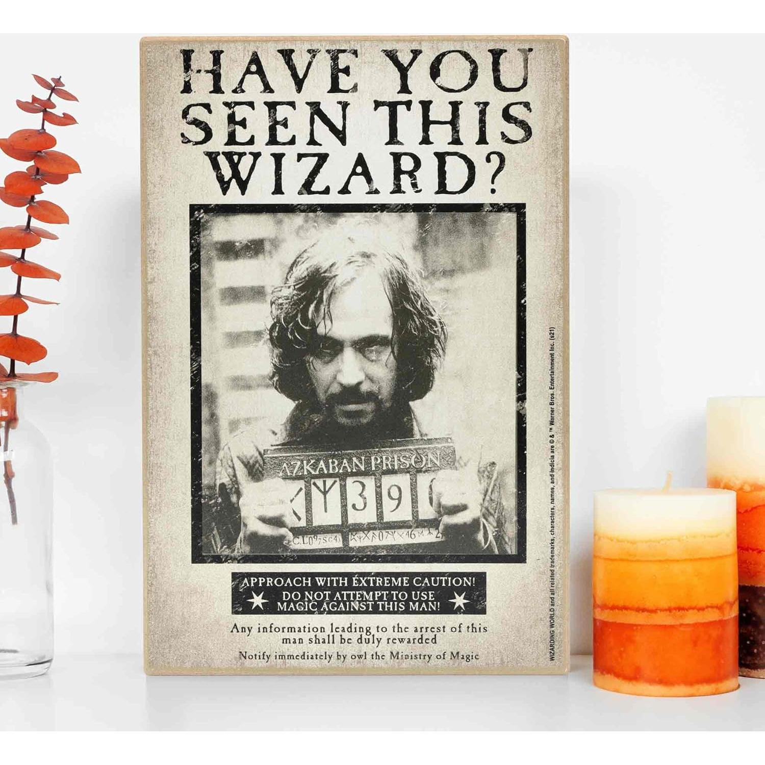 Cartel Vintage Harry Potter Sirius Black 19x29 cm Decoración