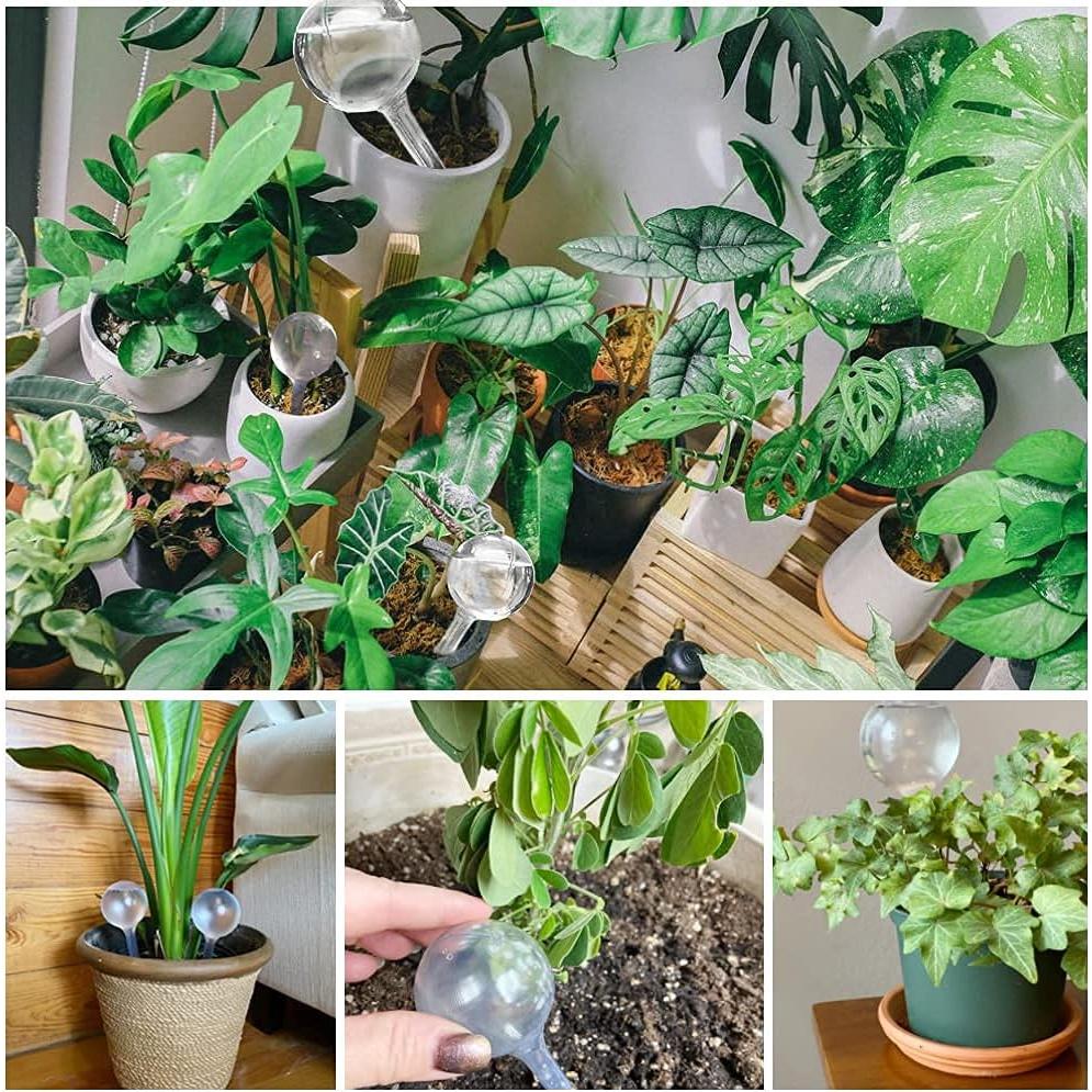 10 Esferas de Riego Automático Pynqdfu para Plantas