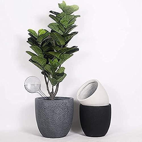 10 Esferas de Riego Automático Pynqdfu para Plantas