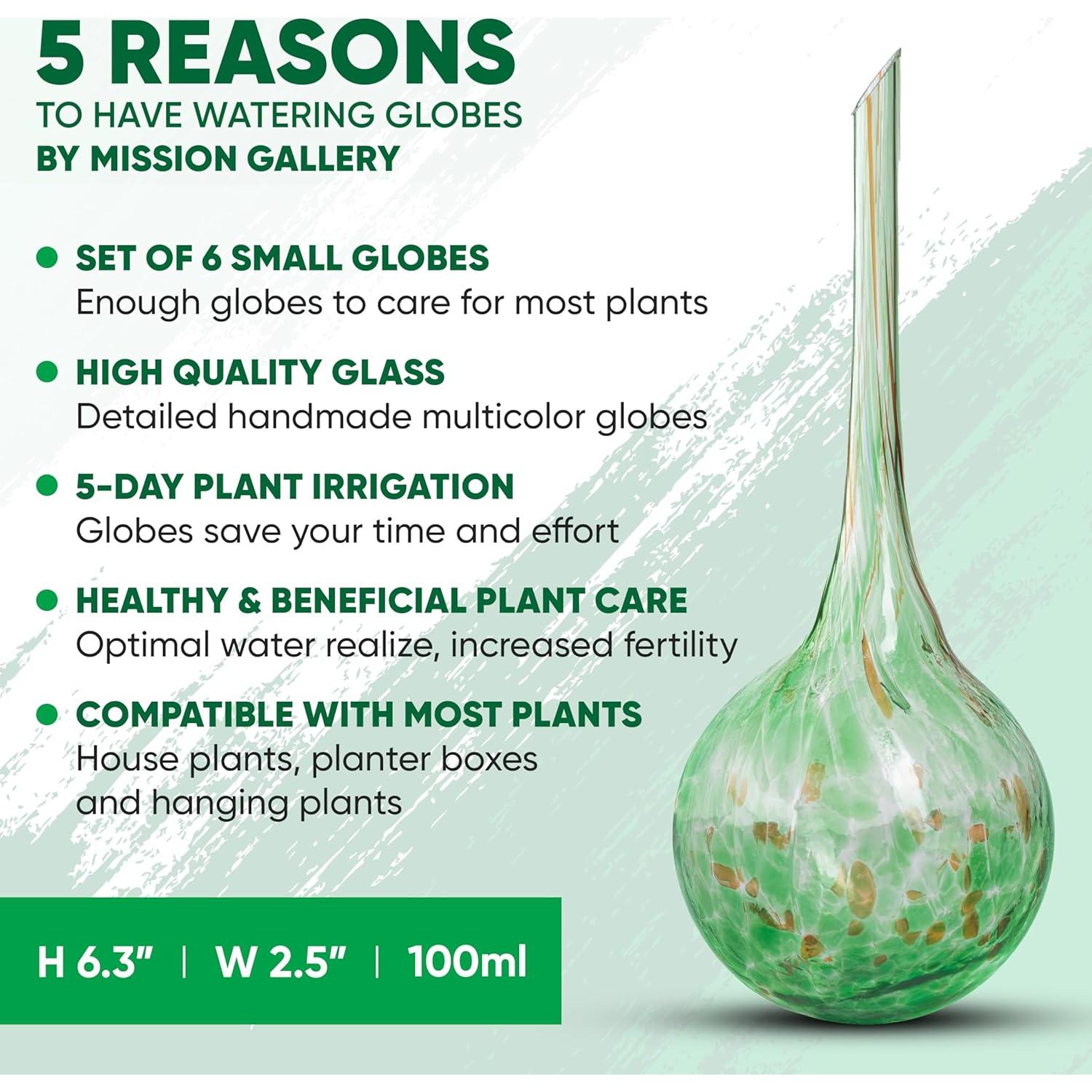 Juego de 6 Esferas de Riego Automáticas Mission Gallery