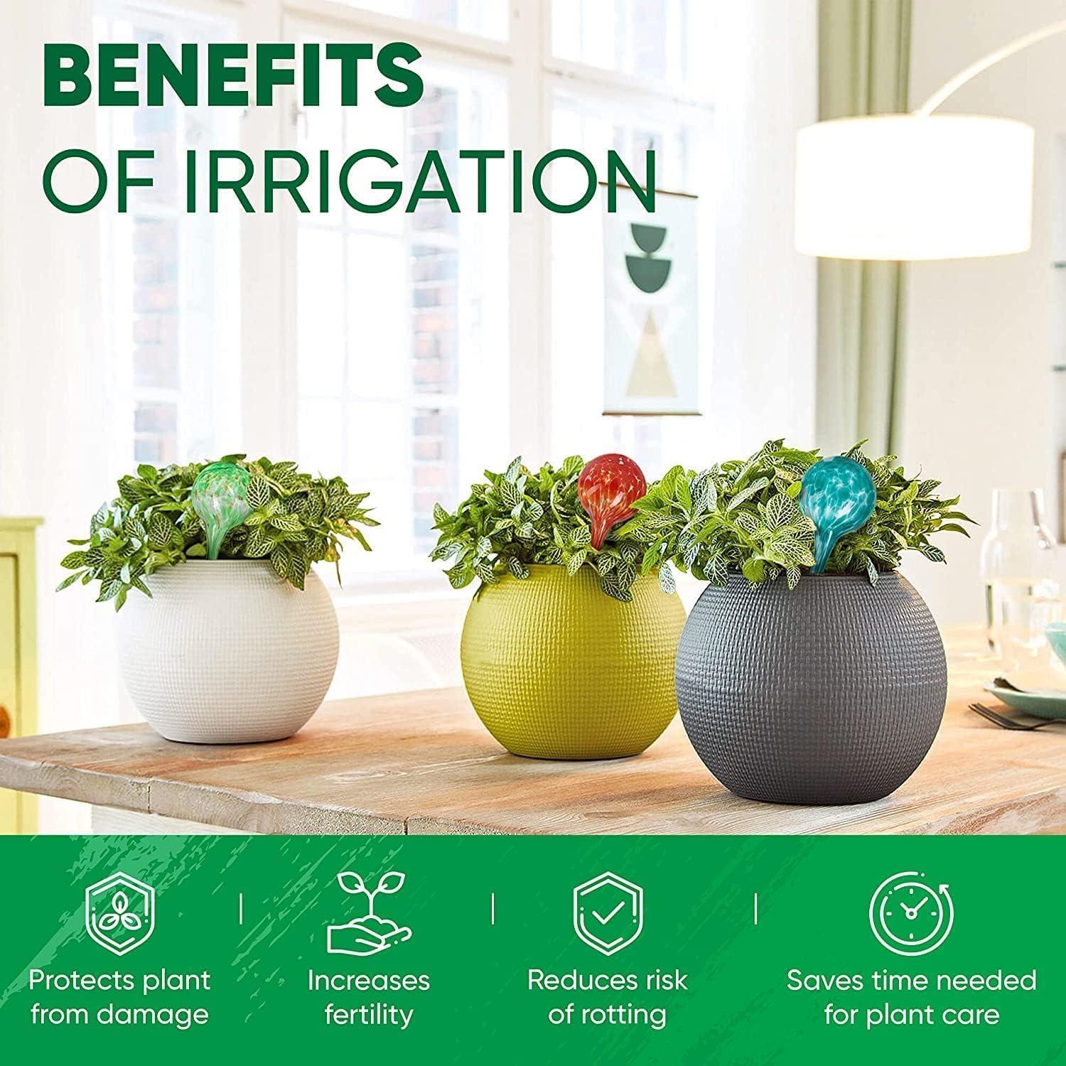 Juego de 6 Esferas de Riego Automáticas Mission Gallery