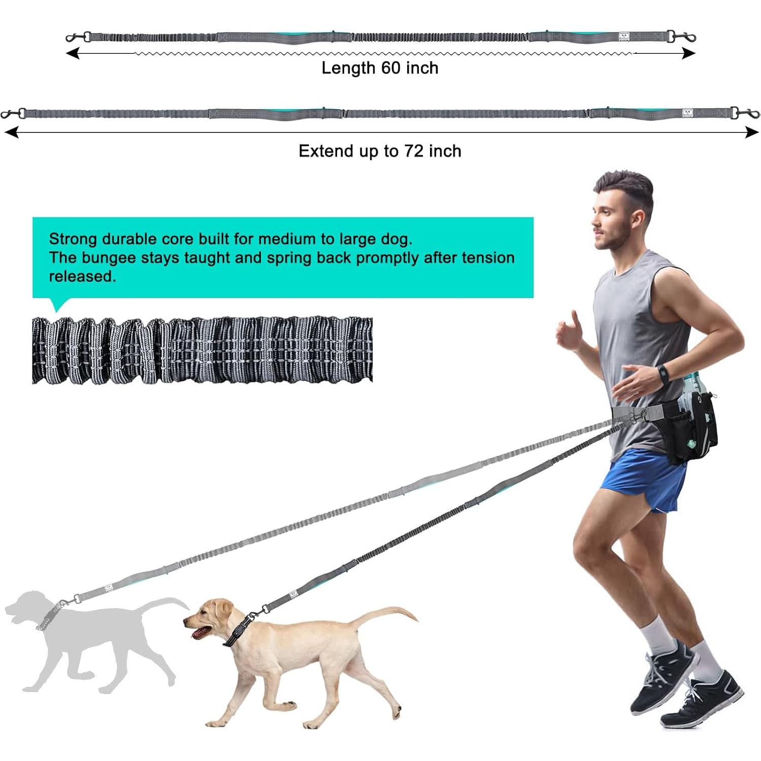 Correa para Perros Manos Libres Shine Hai con Doble Bungee