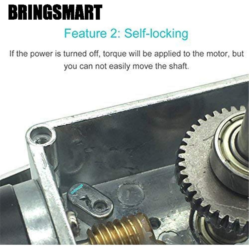 BRINGSMART 12V 5rpm DC Worm Gear Motor 35kg.cm Self-locking Reversed Mini Turbine Geared Motor for DIY Robot Rotating Table Door Lock Curtain Machine (12V 5rpm)