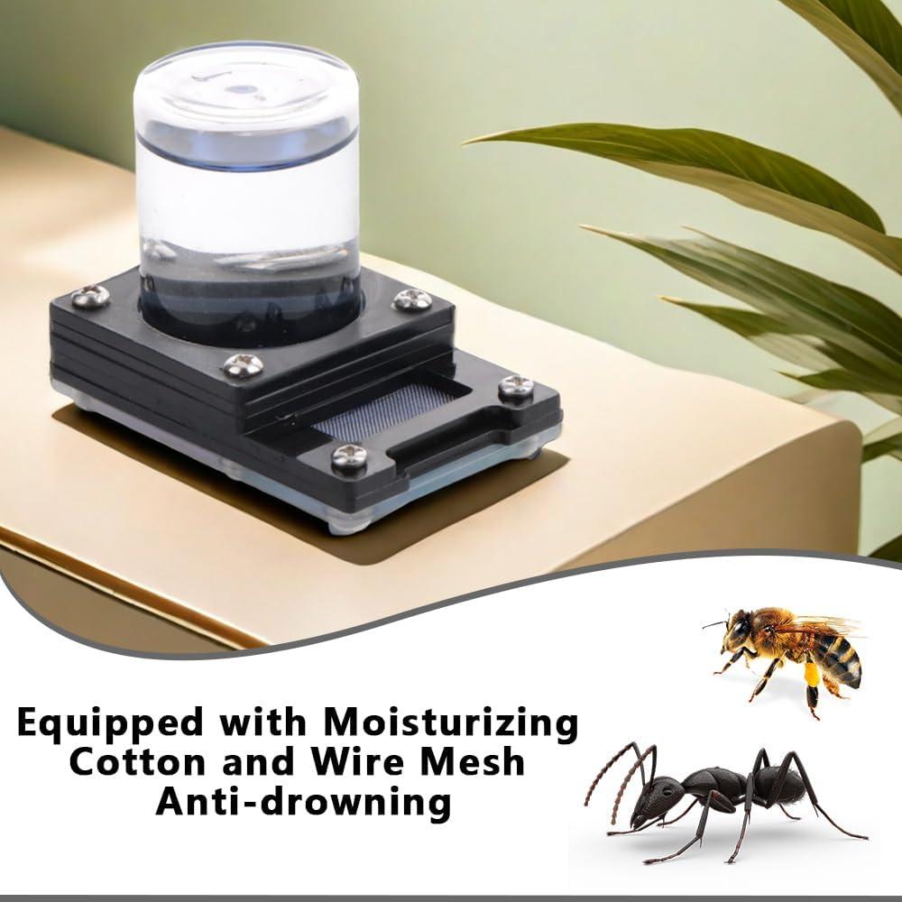 Alimentador de Agua para Hormigas DQITJ 20ml Plástico Anti-Ahogamiento