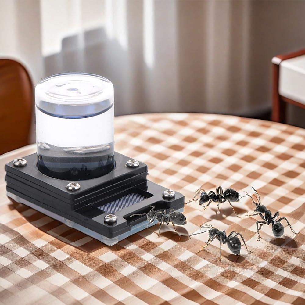 Alimentador de Agua para Hormigas DQITJ 20ml Plástico Anti-Ahogamiento