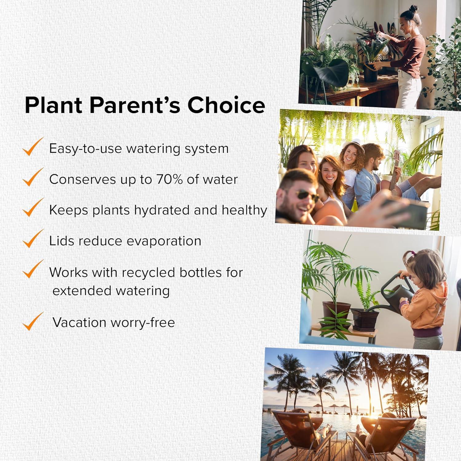 Picos de Riego Terracota The Olla - Juego de 4 para Macetas 10-15 cm