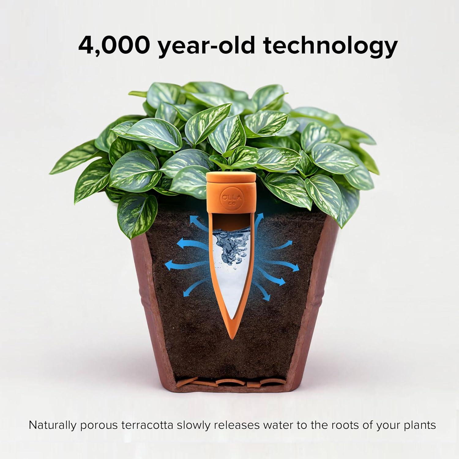 Picos de Riego Terracota The Olla - Juego de 4 para Macetas 10-15 cm