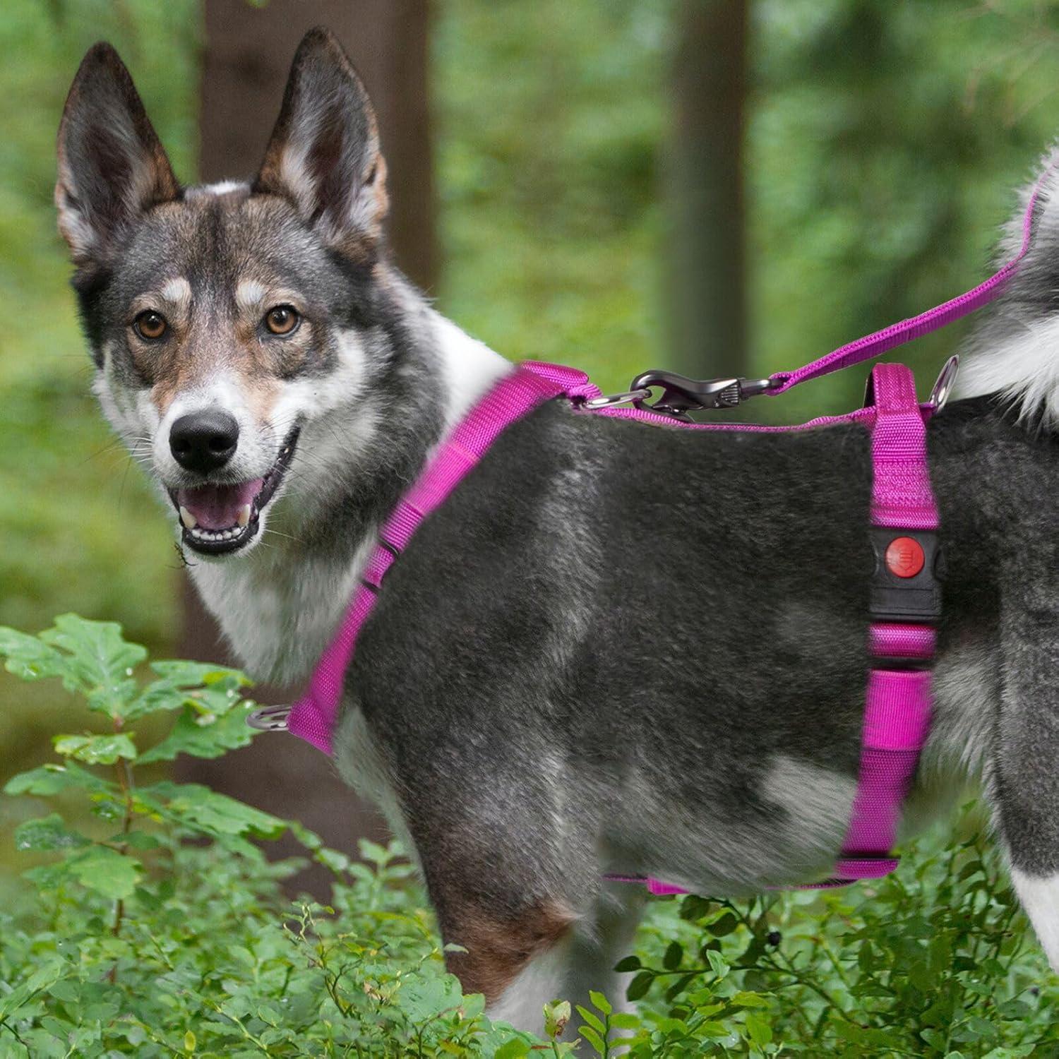 Arnés Táctico Ajustable TSPRO para Perros Grandes Negro S