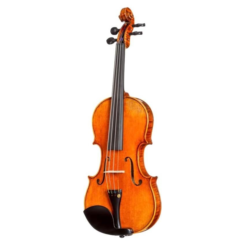 D Z Strad Violín 4/4 Modelo 250 con Estuche y Accesorios