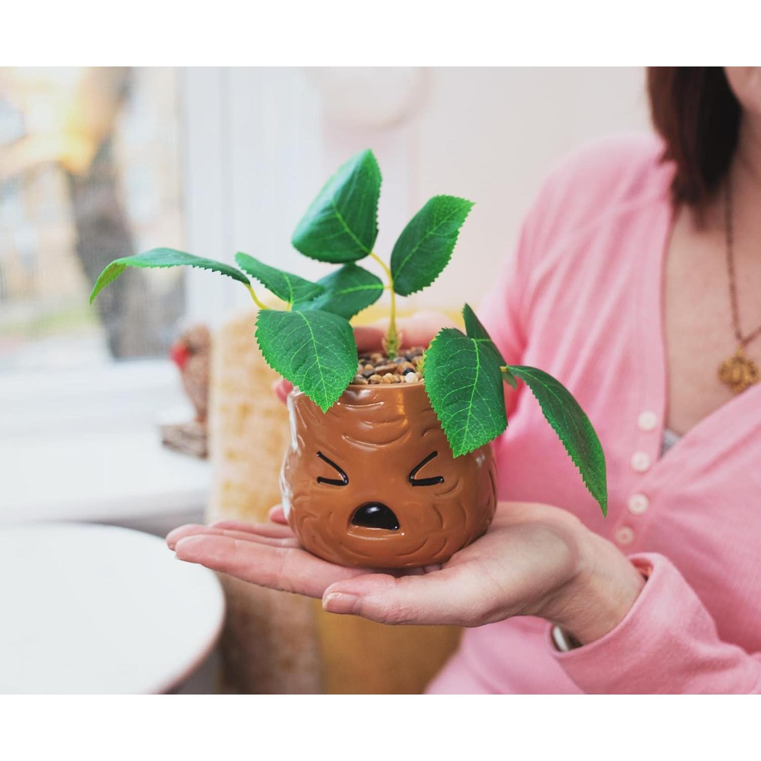 Macetero Cara de Mandrágora Silver Buffalo con Planta Artificial